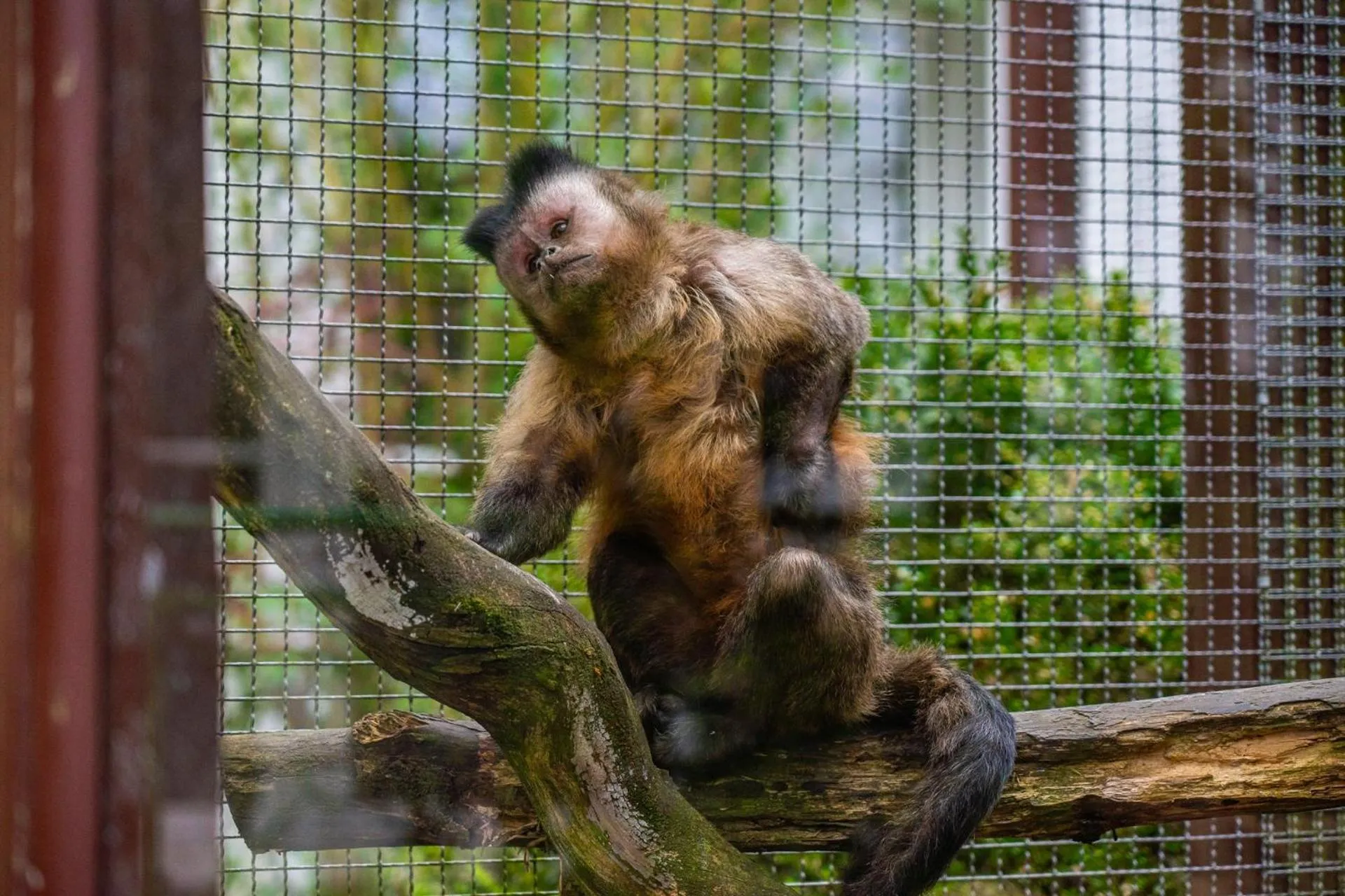 View (from property/room) in Aparthotel Tropenhaus Bansin