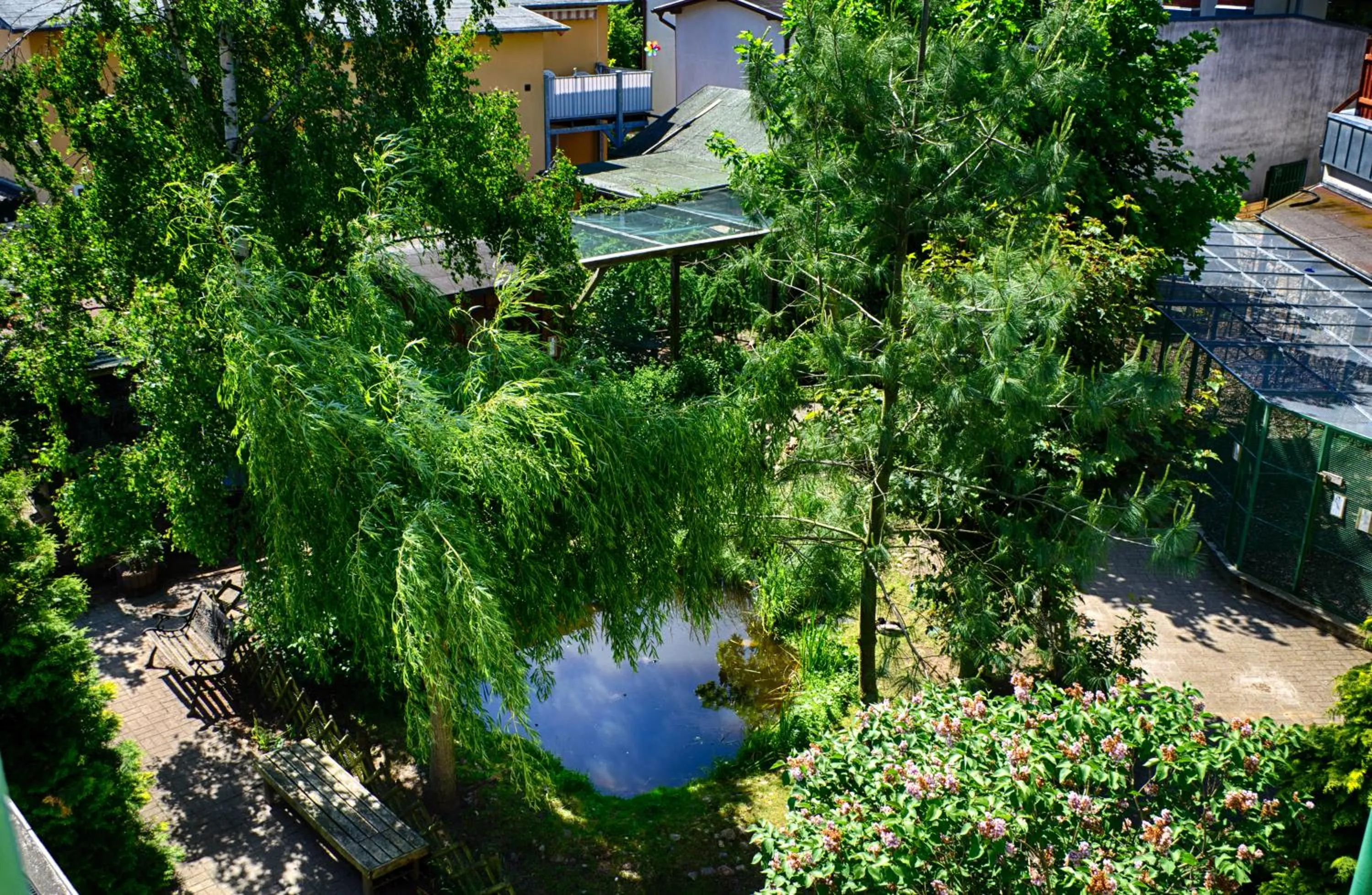 Garden view in Aparthotel Tropenhaus Bansin