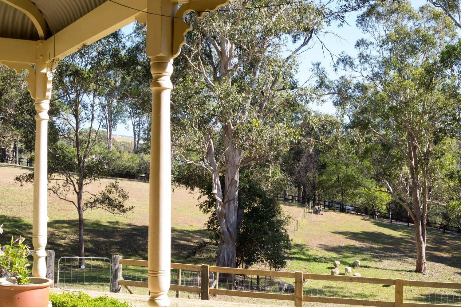 Garden view in The Willows at Kurrajong