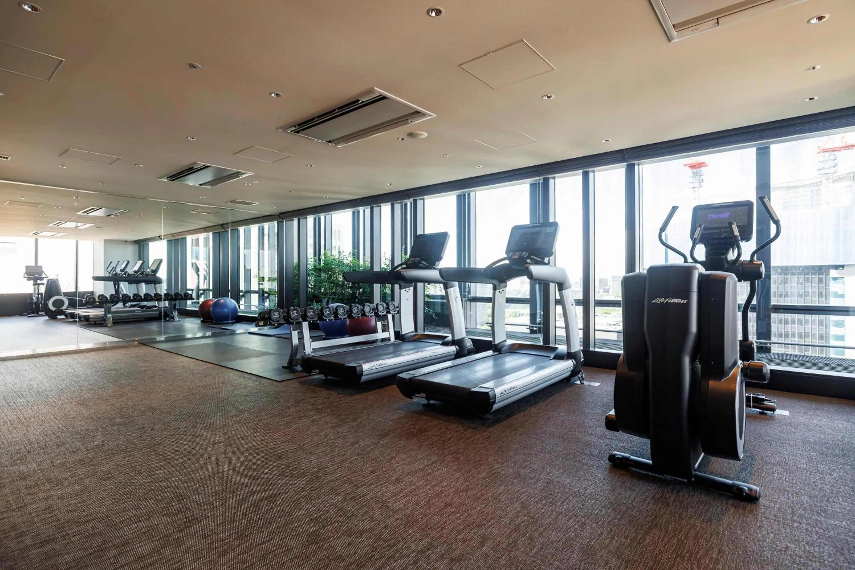 Fitness centre/facilities in THE BLOSSOM HIBIYA