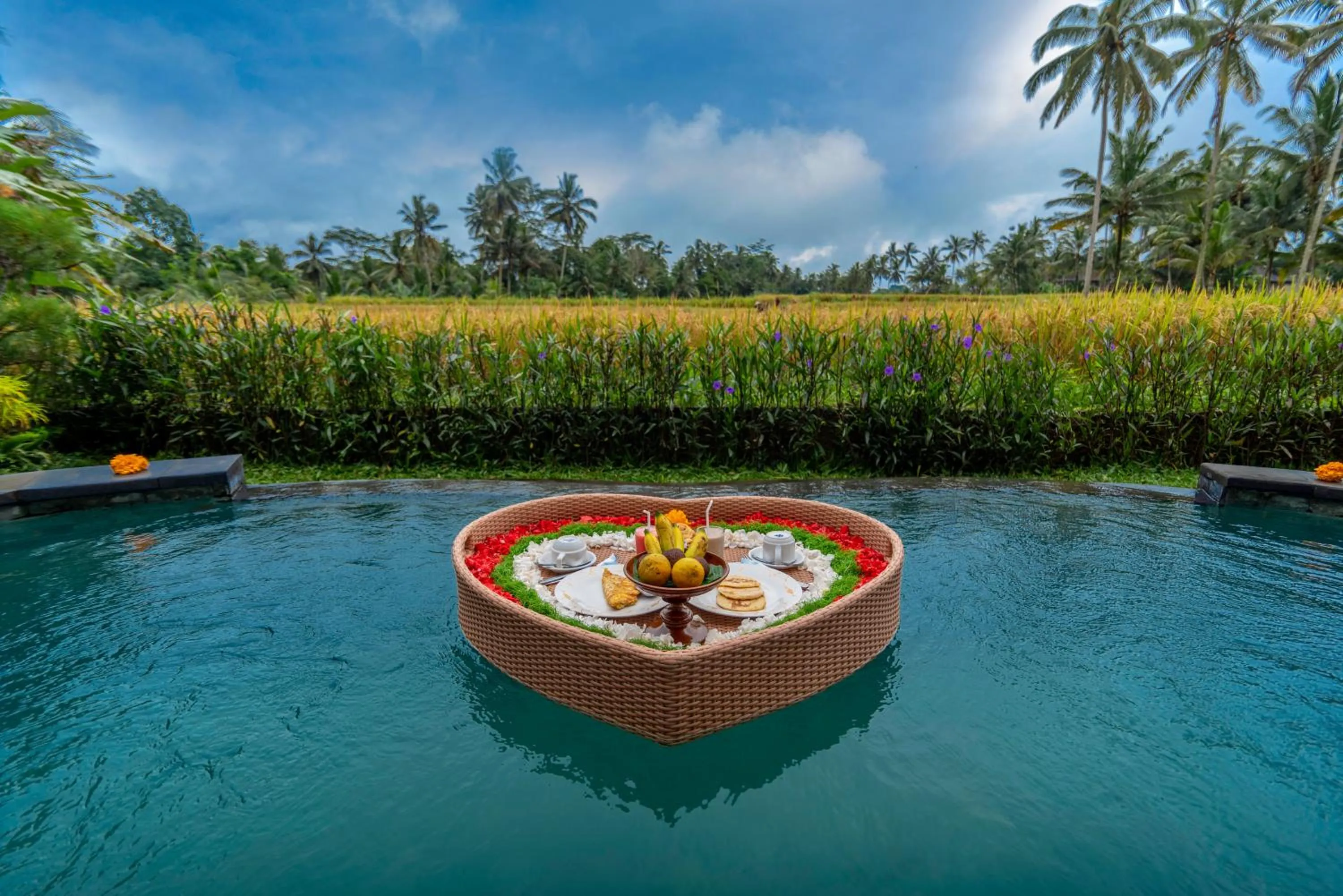 Natural landscape in The Alus Cottage and Villa