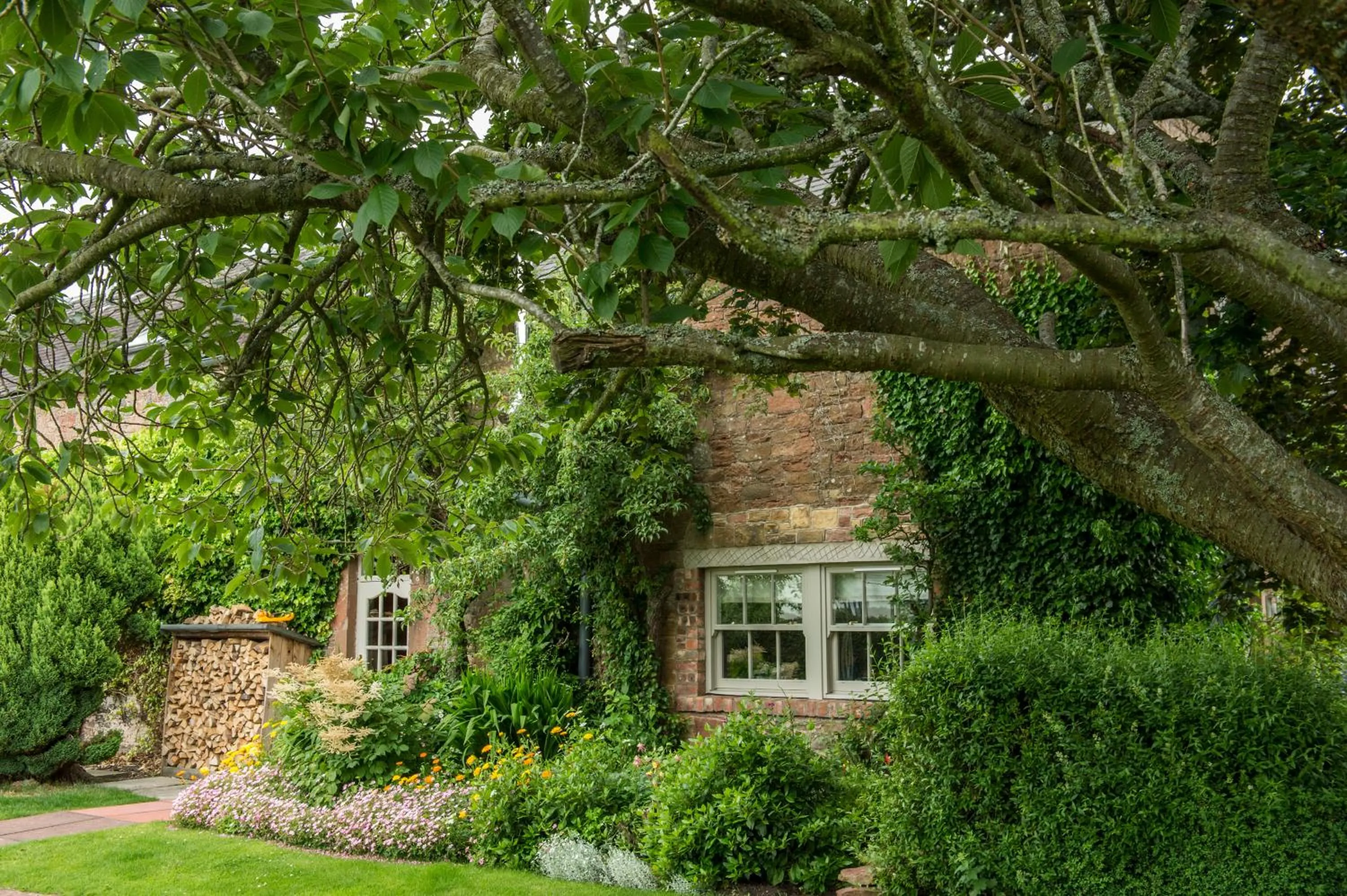 Garden view in Buccleuch Arms