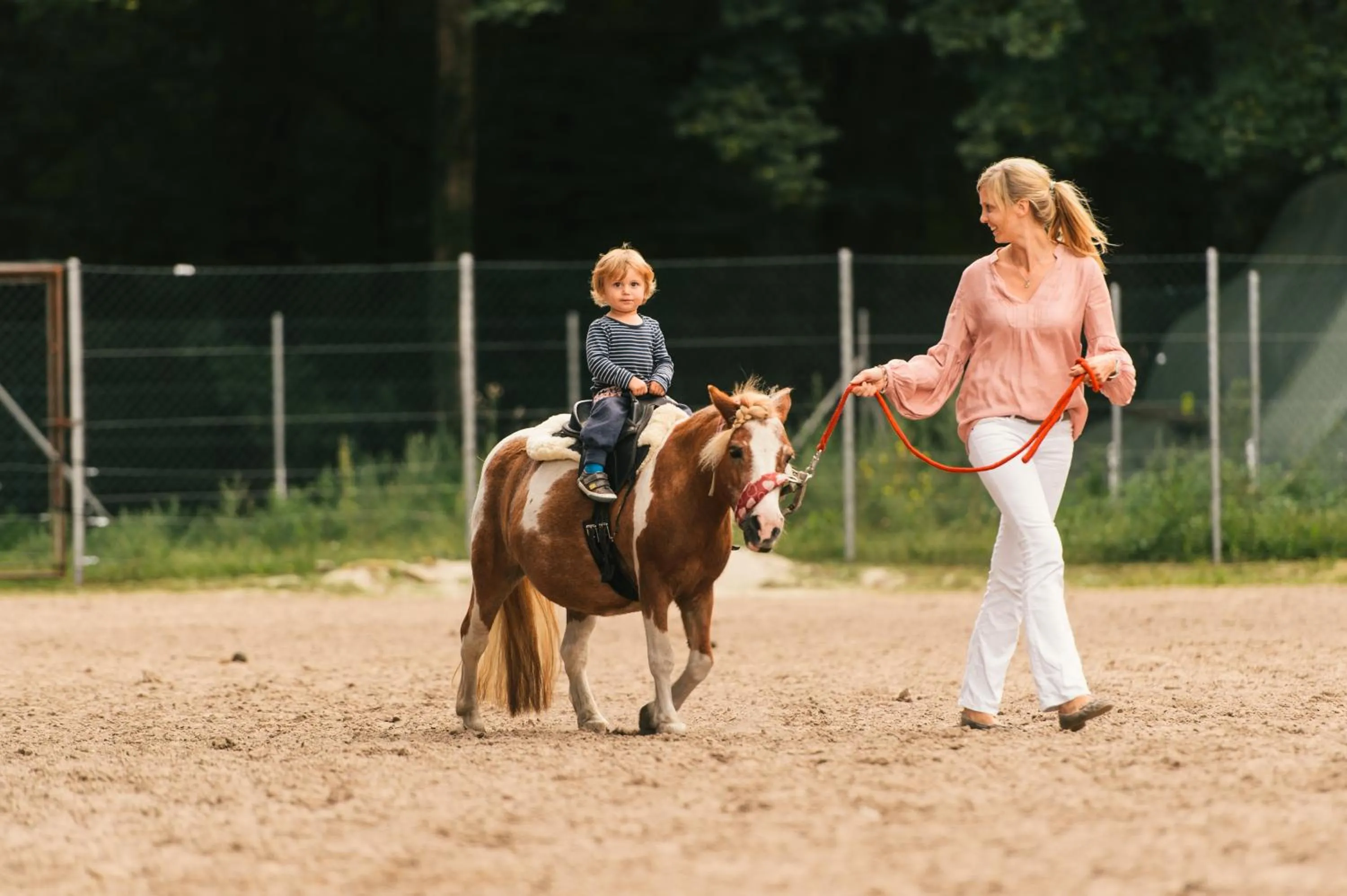 Horse-riding in Gästehaus am Landgut
