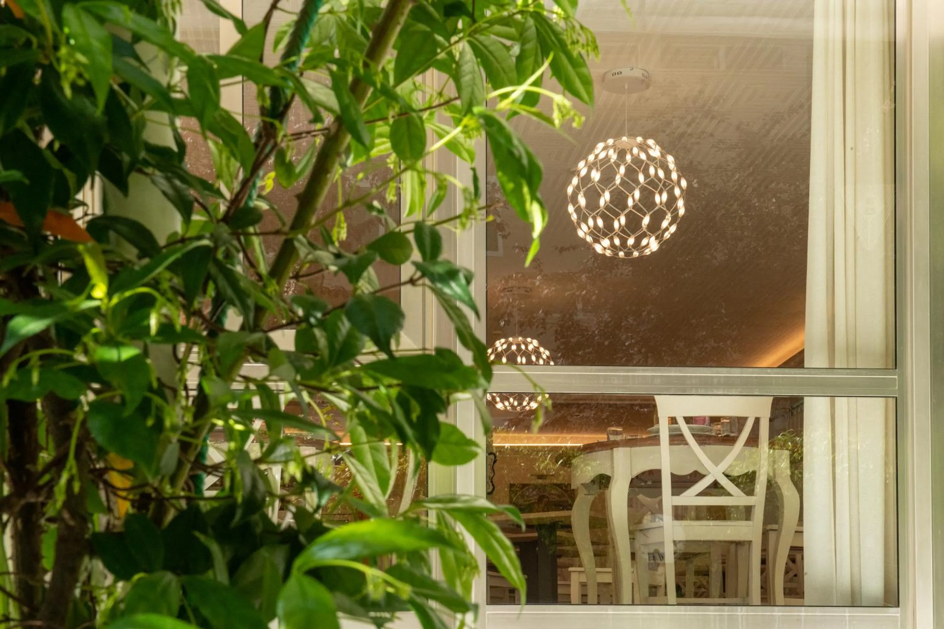 Garden in Hotel Altair