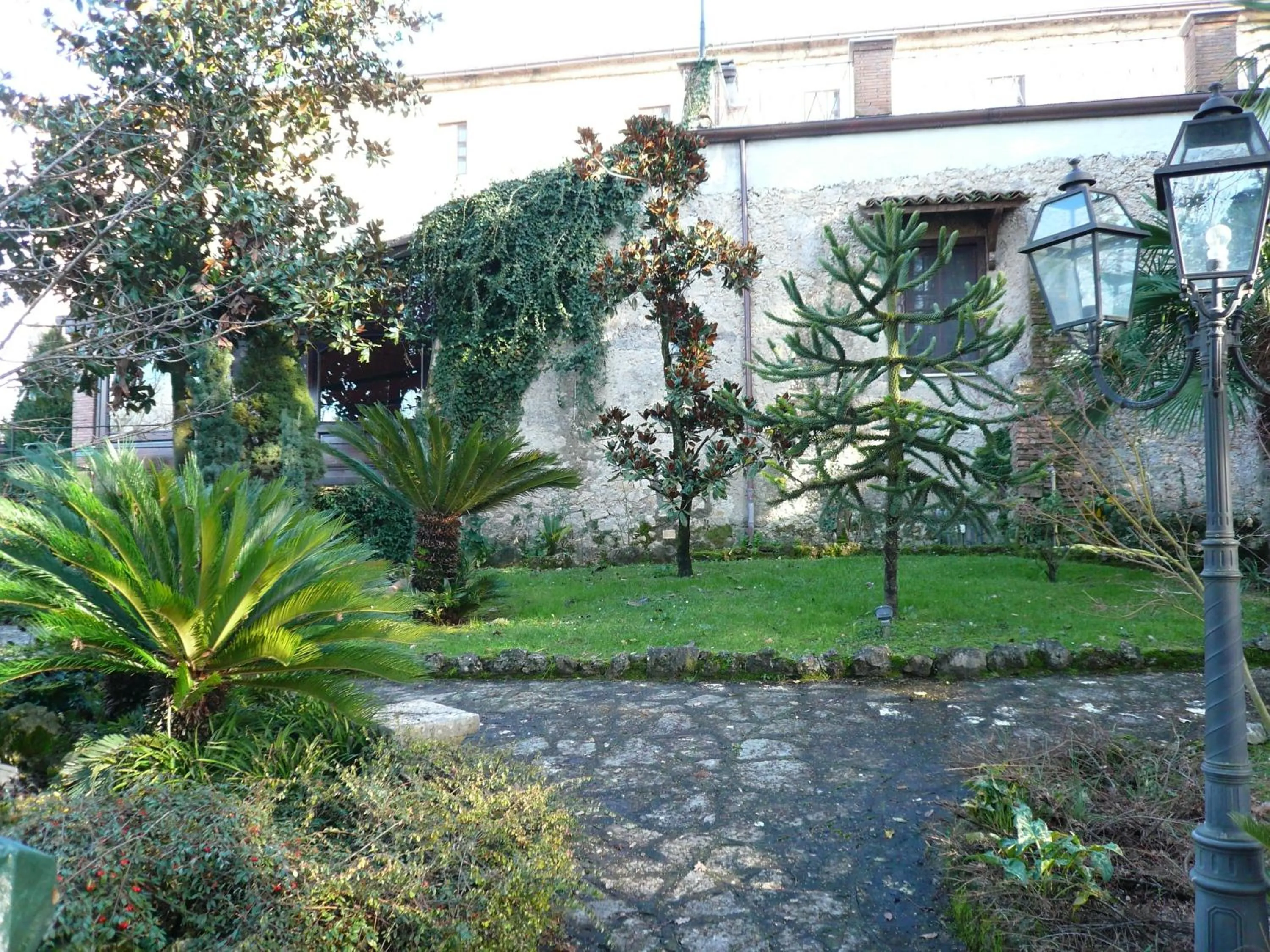 Tenuta Del Massimo Feudo