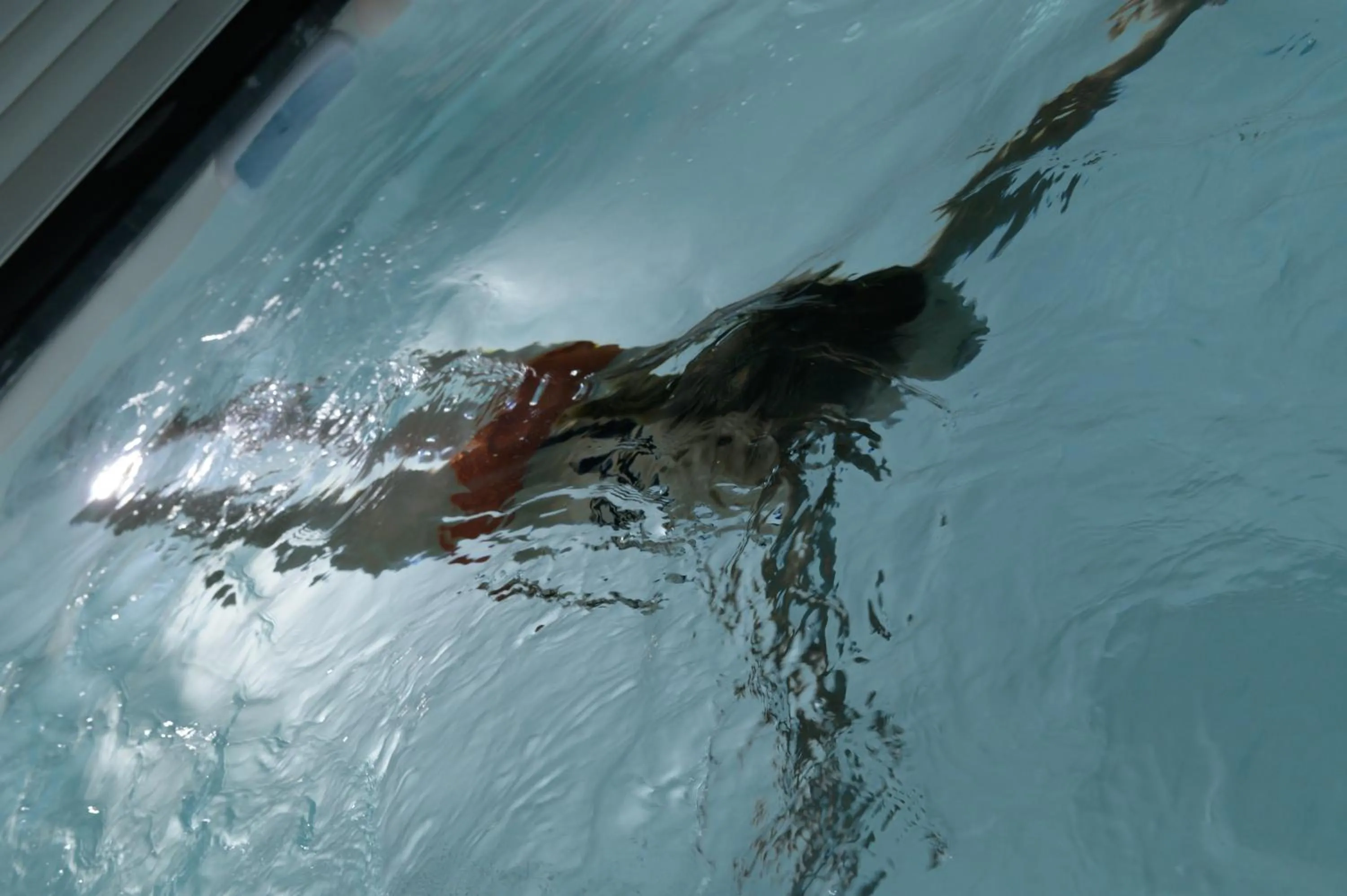 Spa and wellness centre/facilities in Couvent de la Salette & Spa