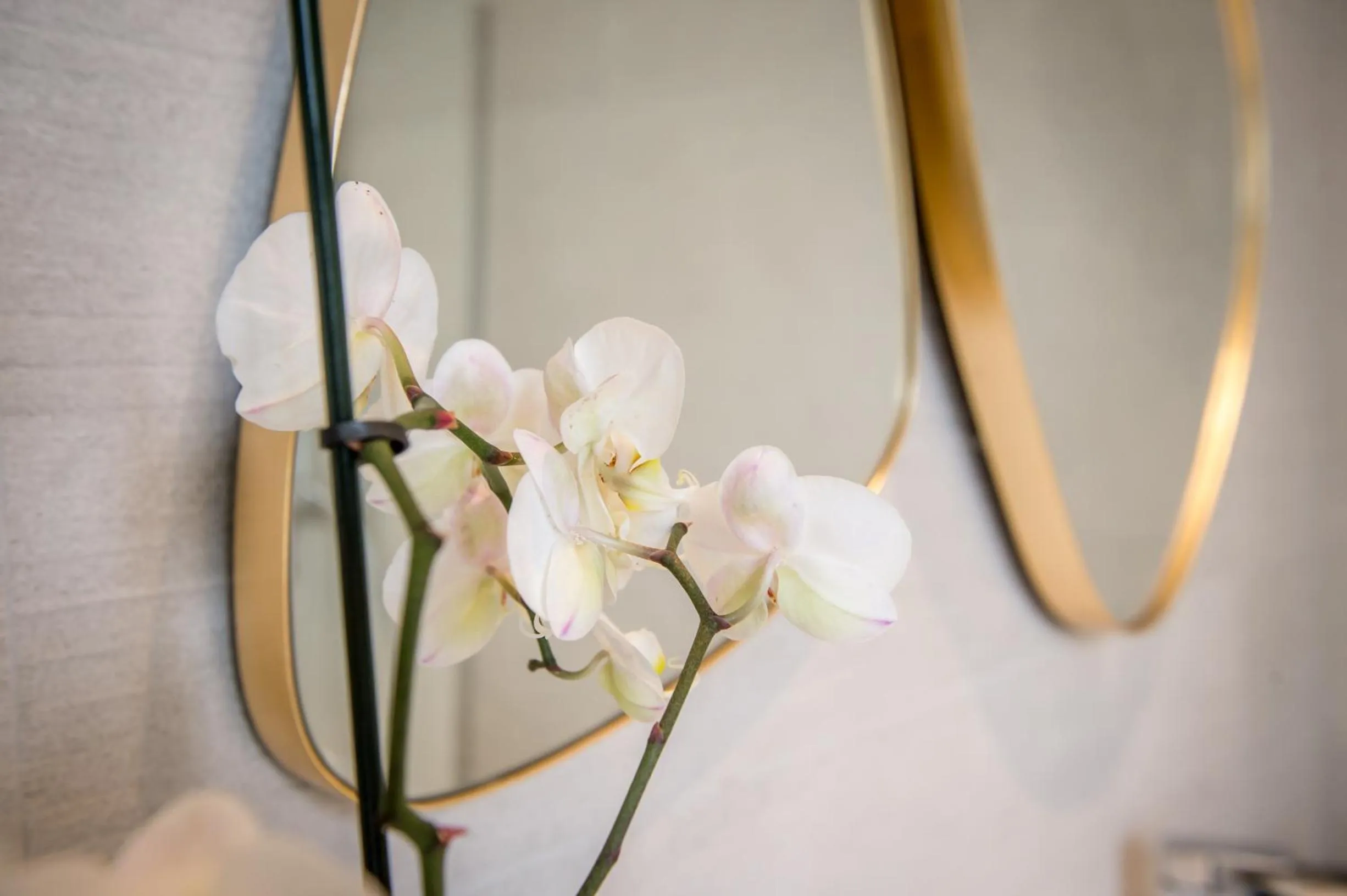 Bathroom in Couvent de la Salette & Spa