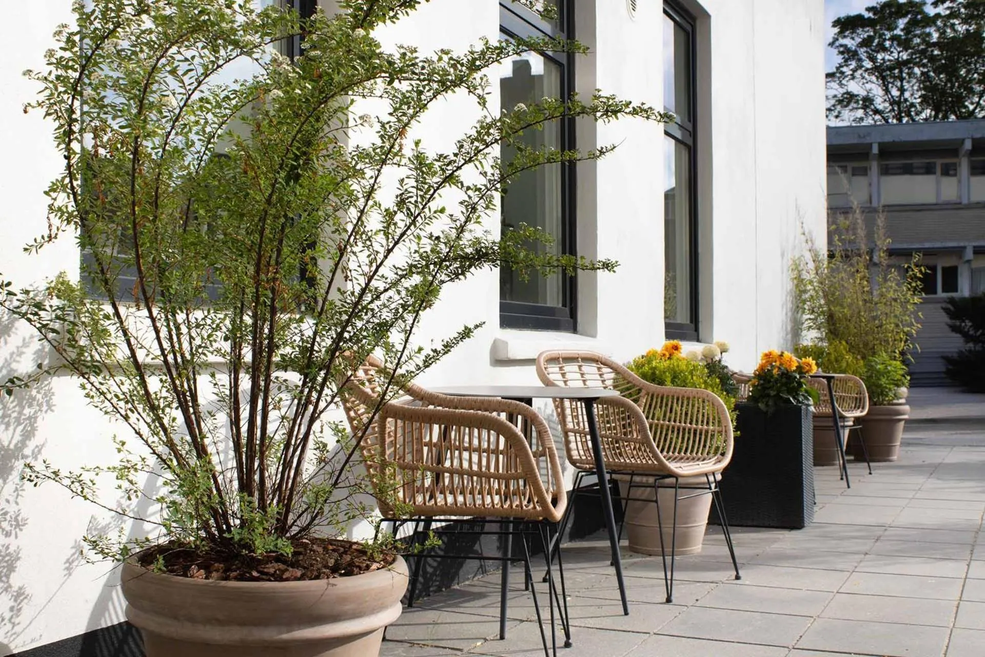 Balcony/Terrace in Hotel Frederikshavn