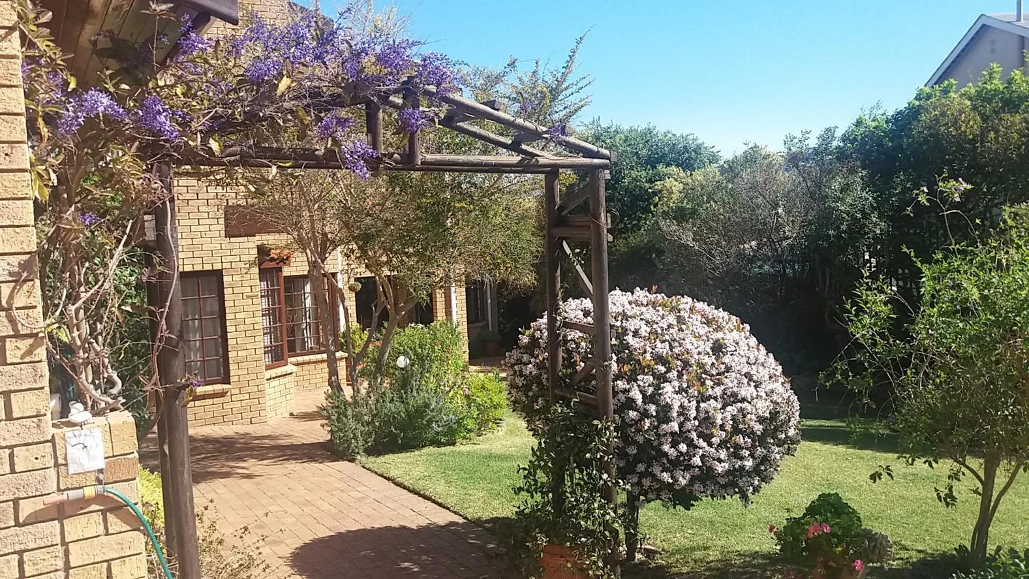Garden view in Bayside Lodge Garden Route B&B