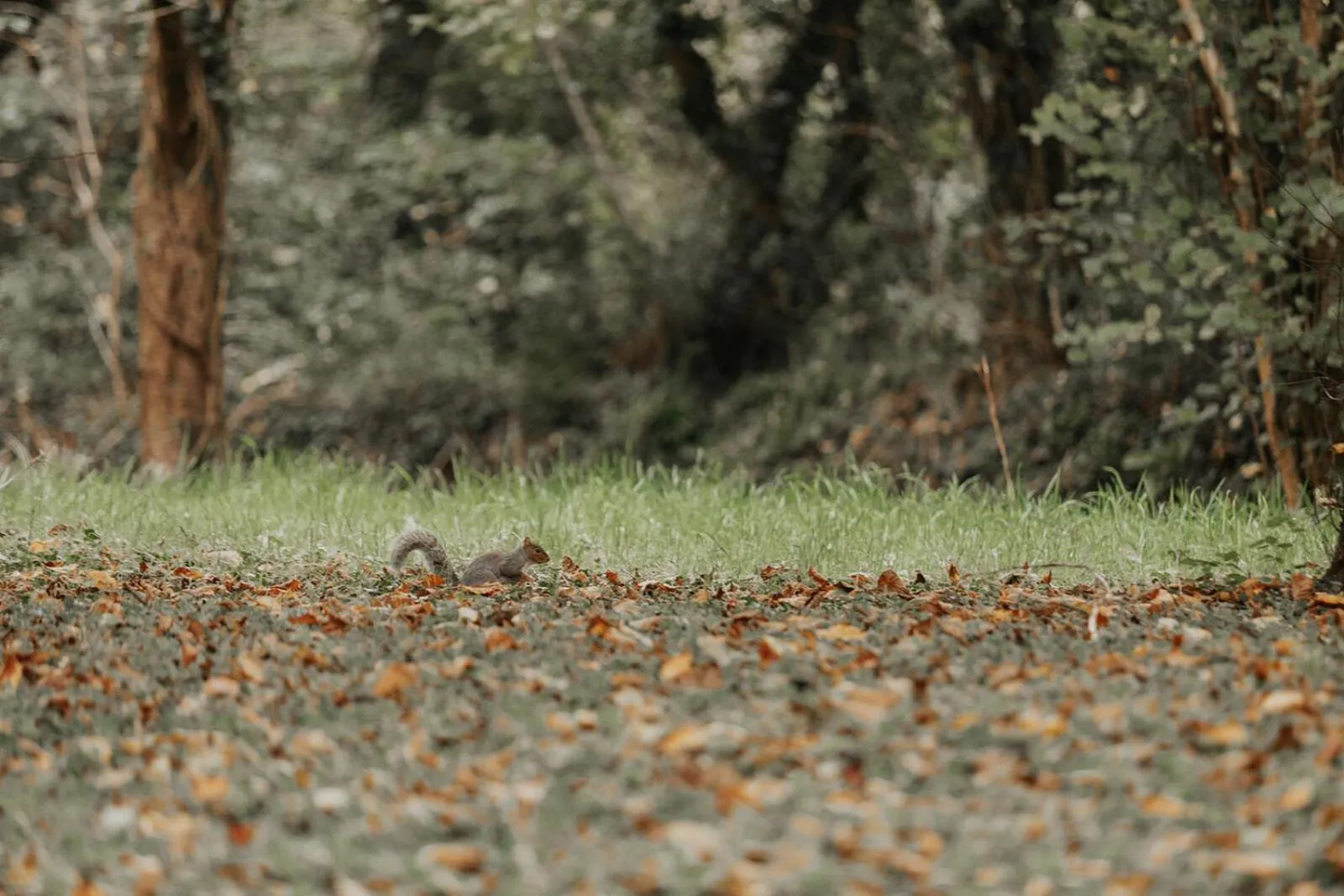 Natural landscape in Chycara House