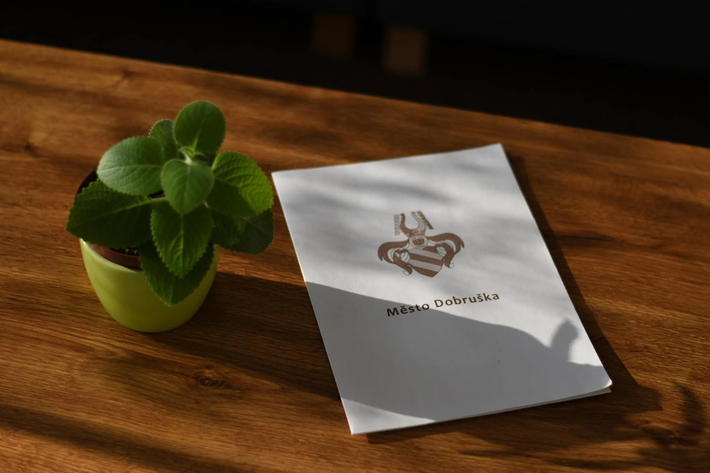 Text overlay in hotel Dobruška