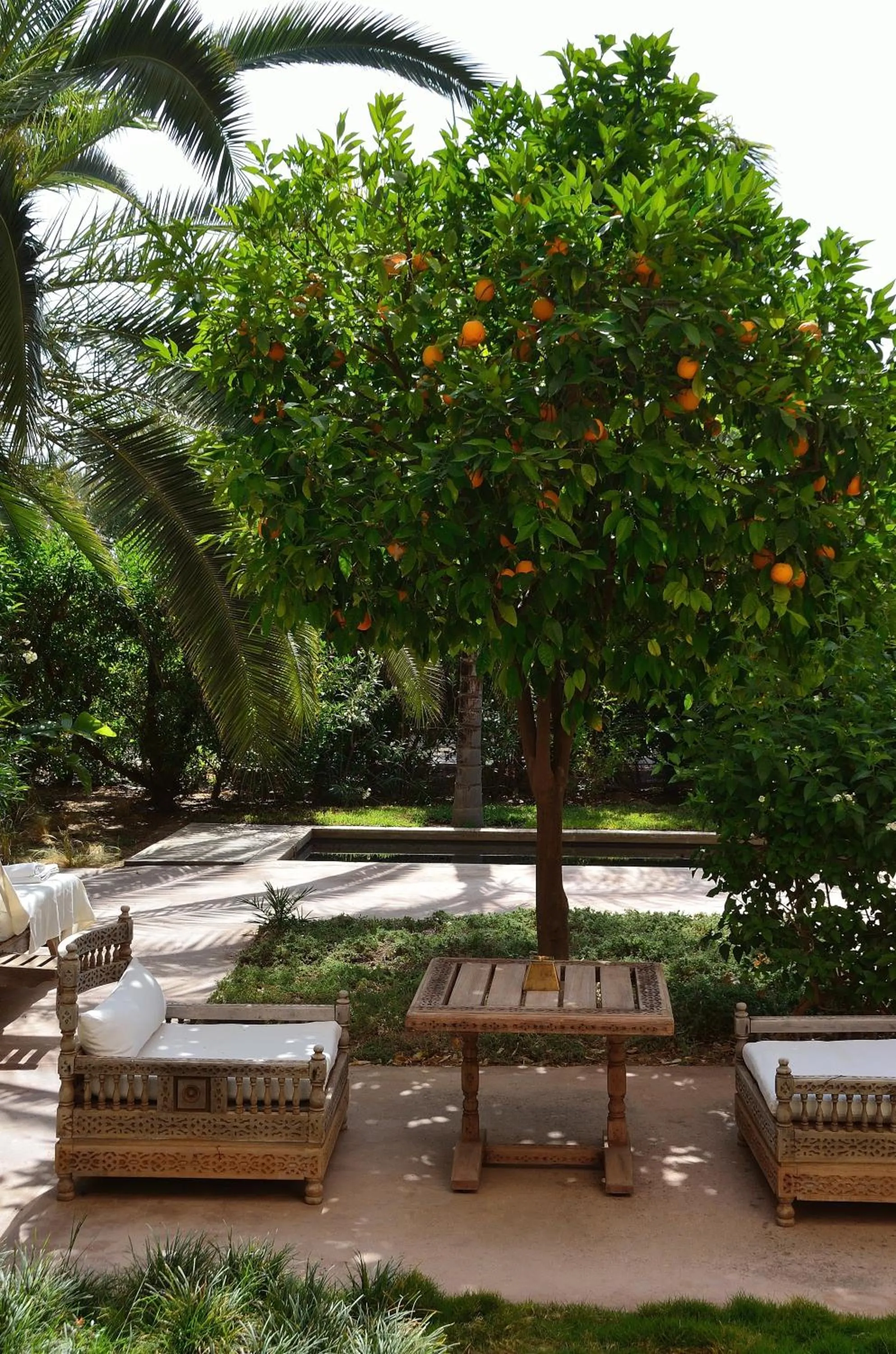 Garden in Ksar Char-Bagh Small Luxury Hotels