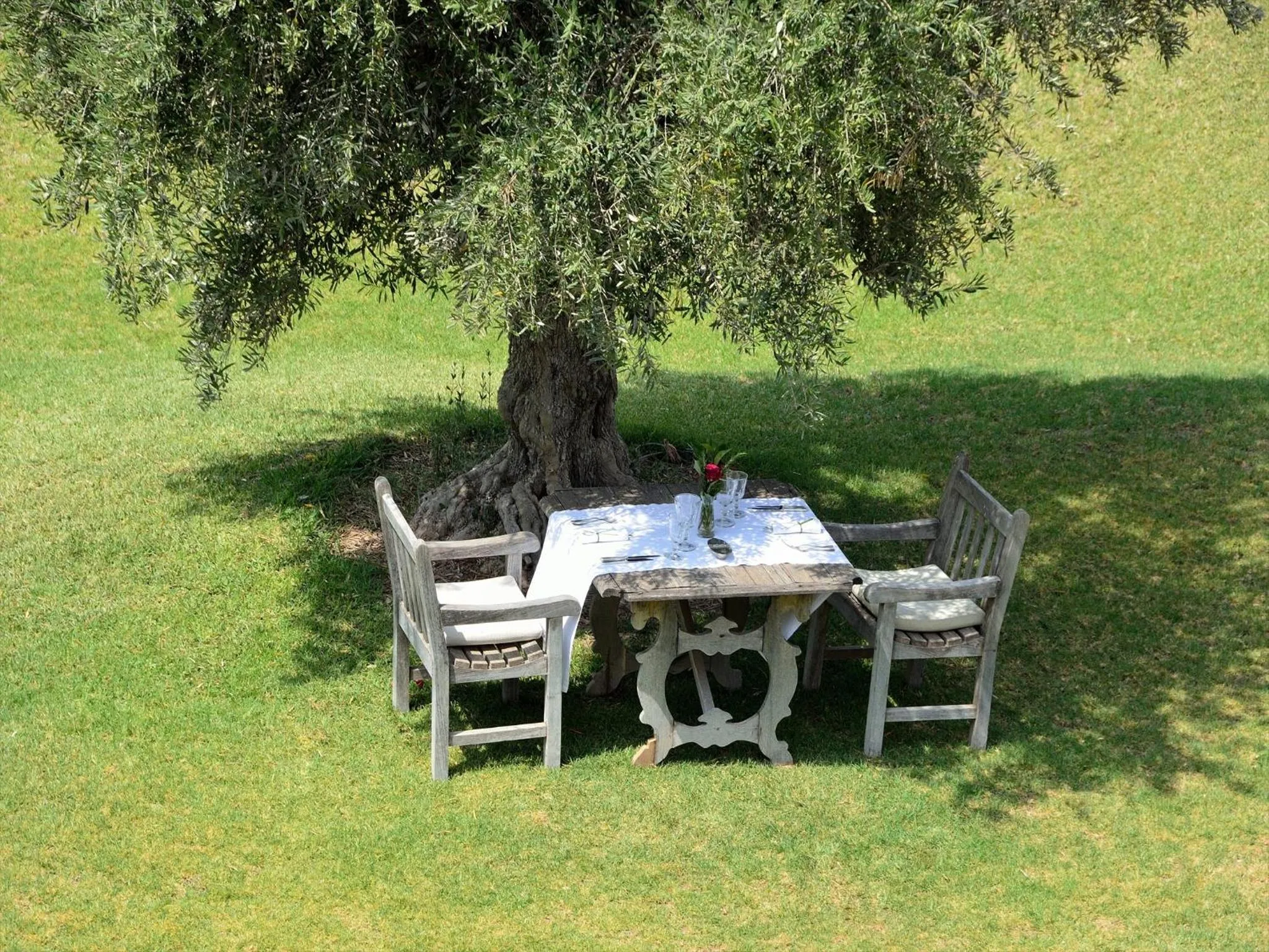 Garden in Ksar Char-Bagh Small Luxury Hotels