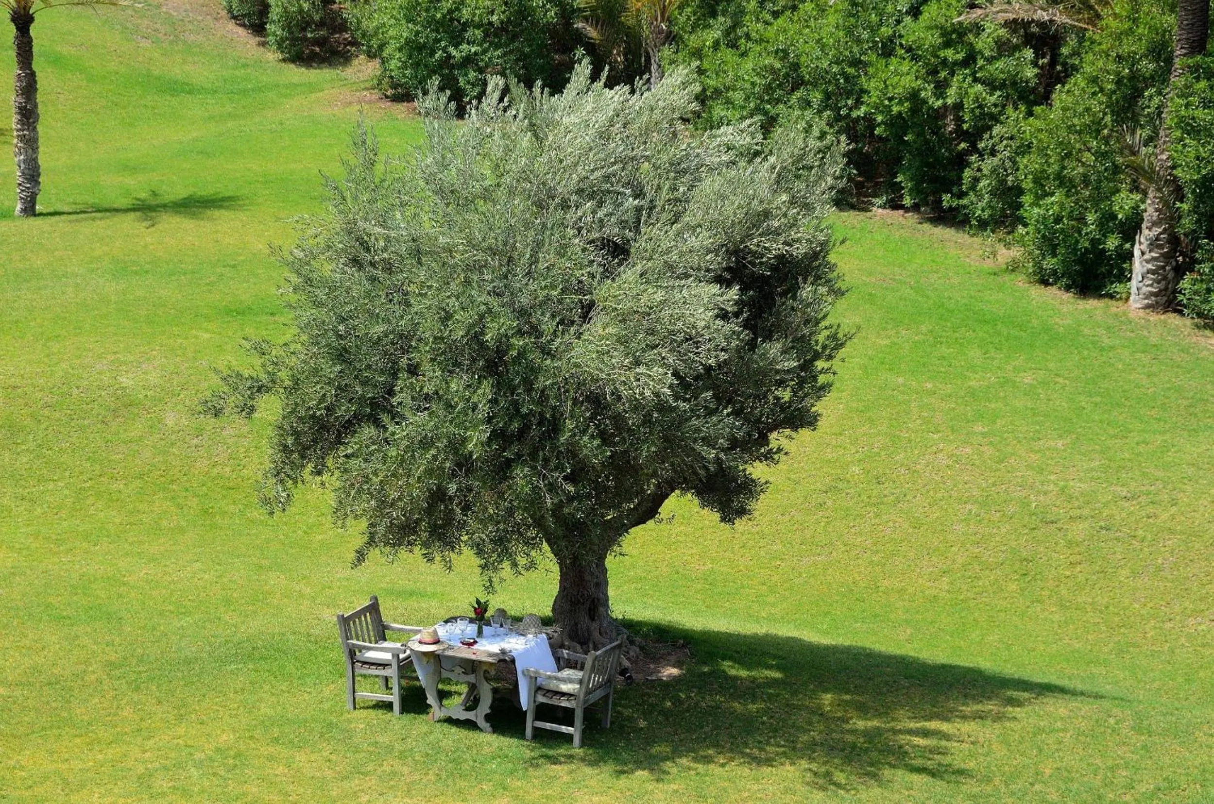 Garden in Ksar Char-Bagh Small Luxury Hotels