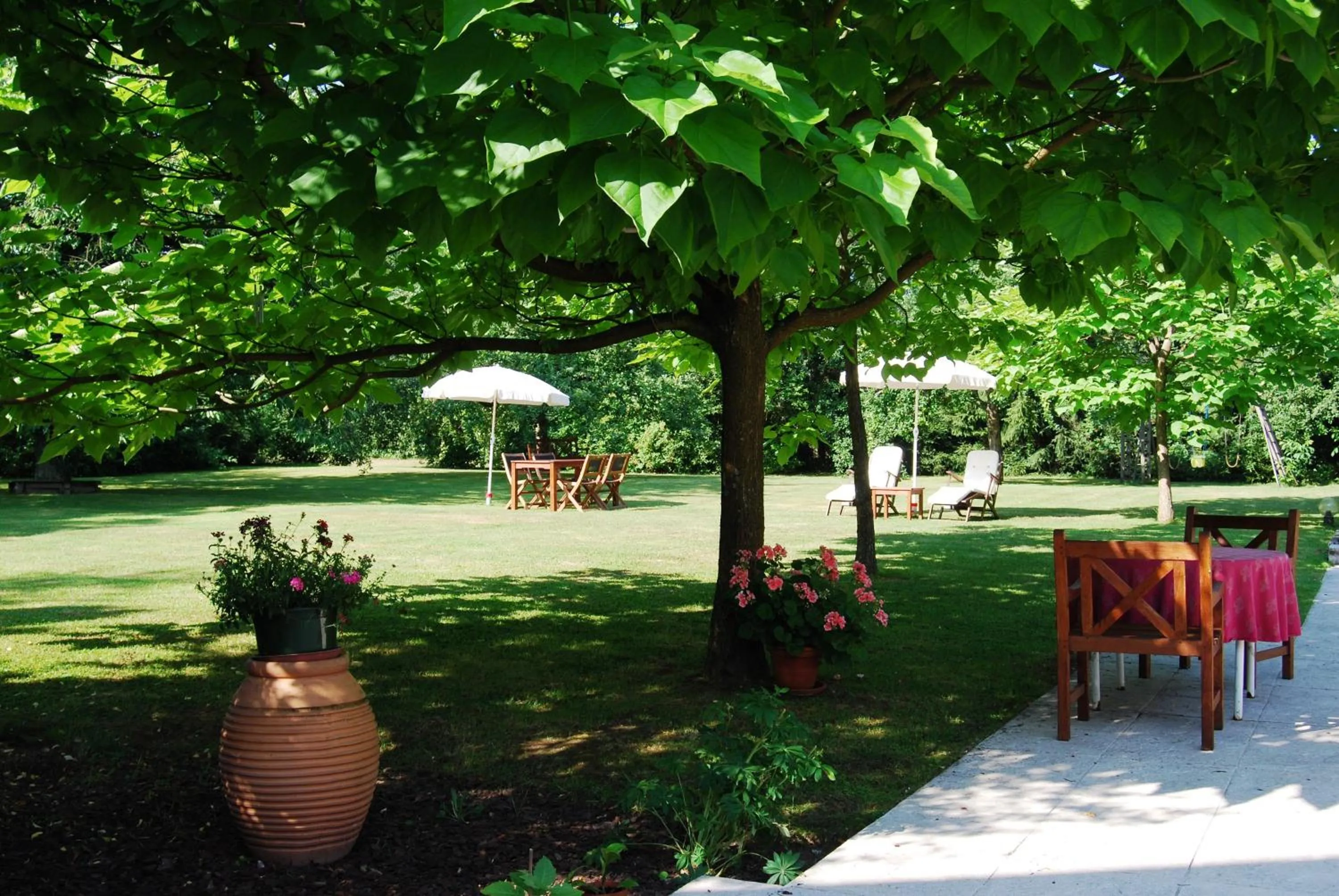 Garden in Villa Maria