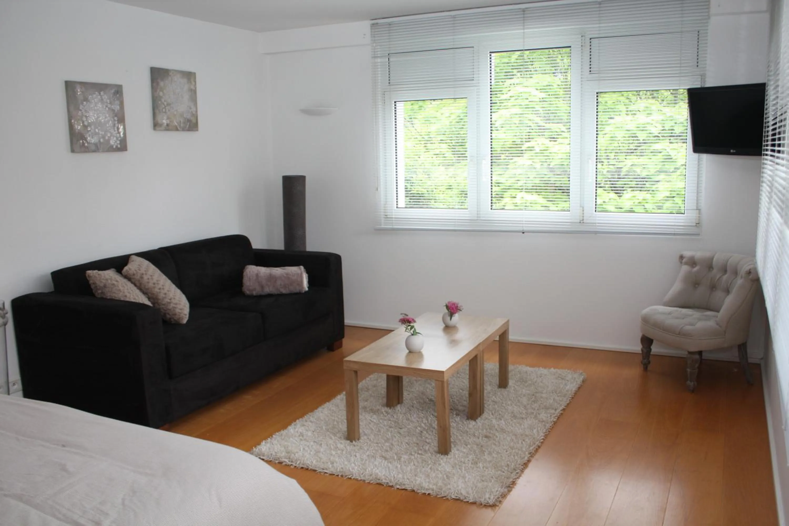 TV and multimedia in Villa Maria