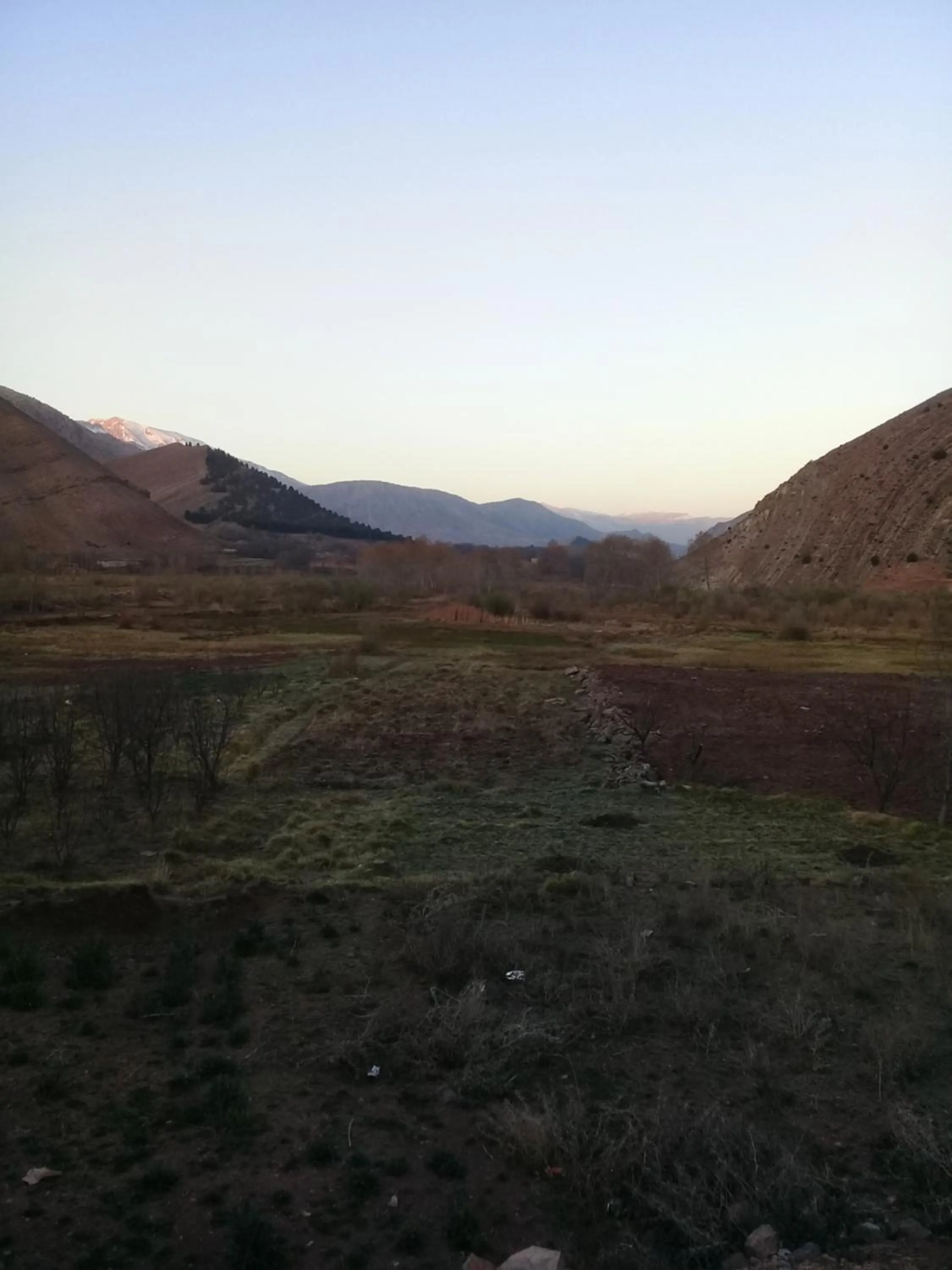 Auberge Restaurant Les Coquelicots