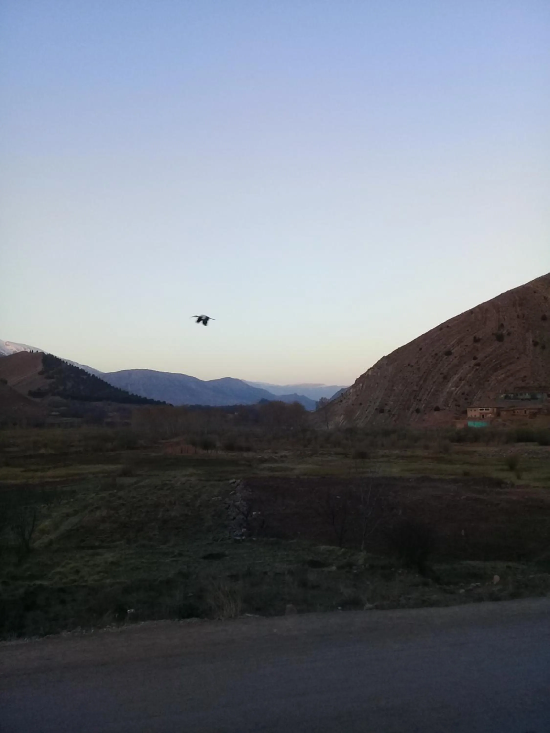 Auberge Restaurant Les Coquelicots