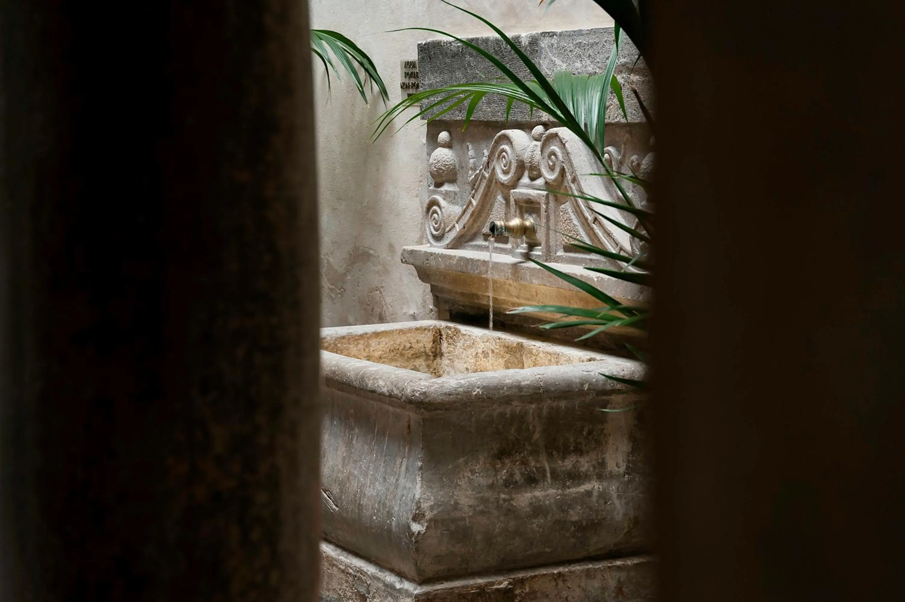 Patio in Hotel Mercader de Sedas by Maxi Hoteles