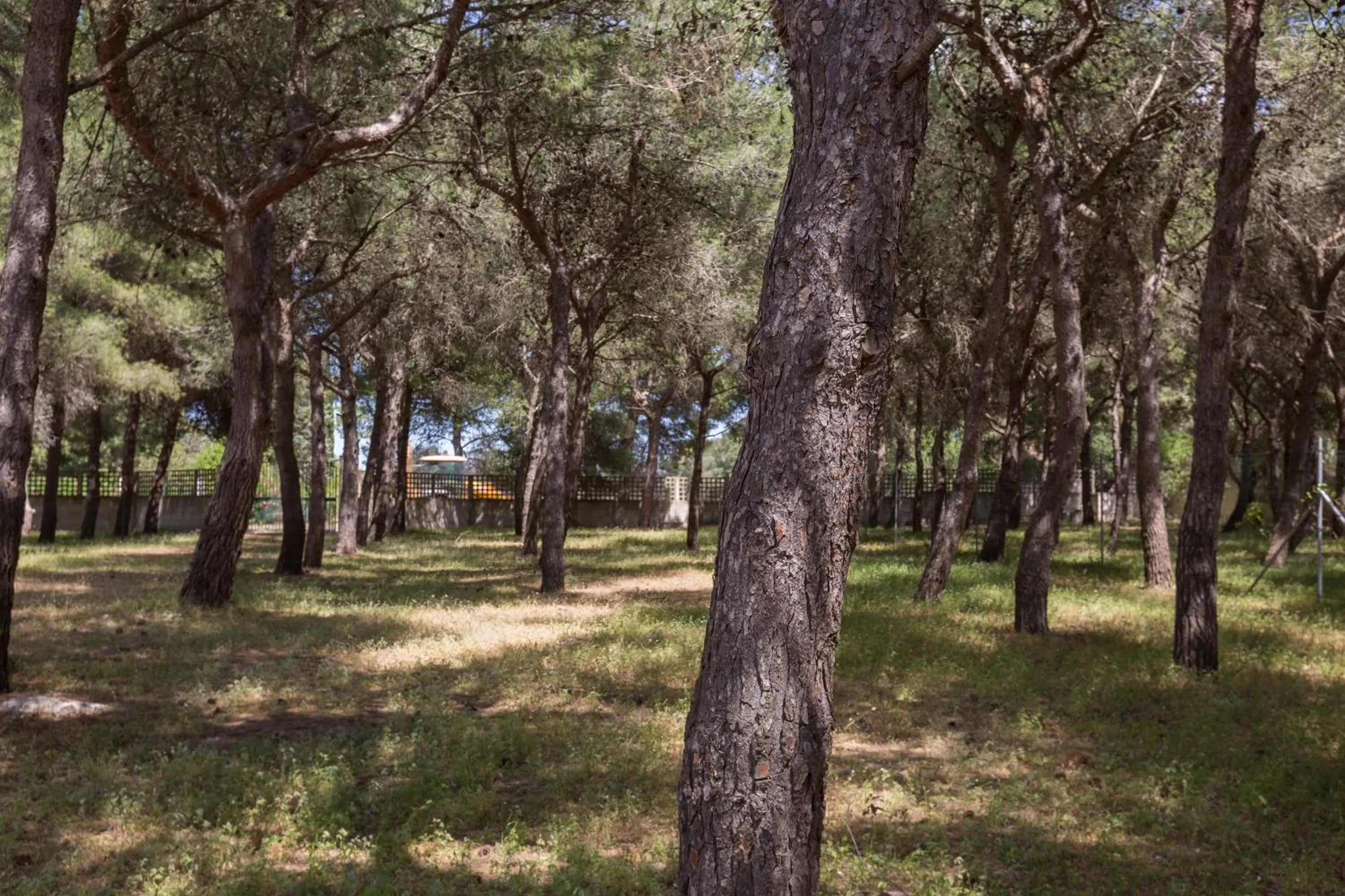 Villetta La Pineta by BarbarHouse
