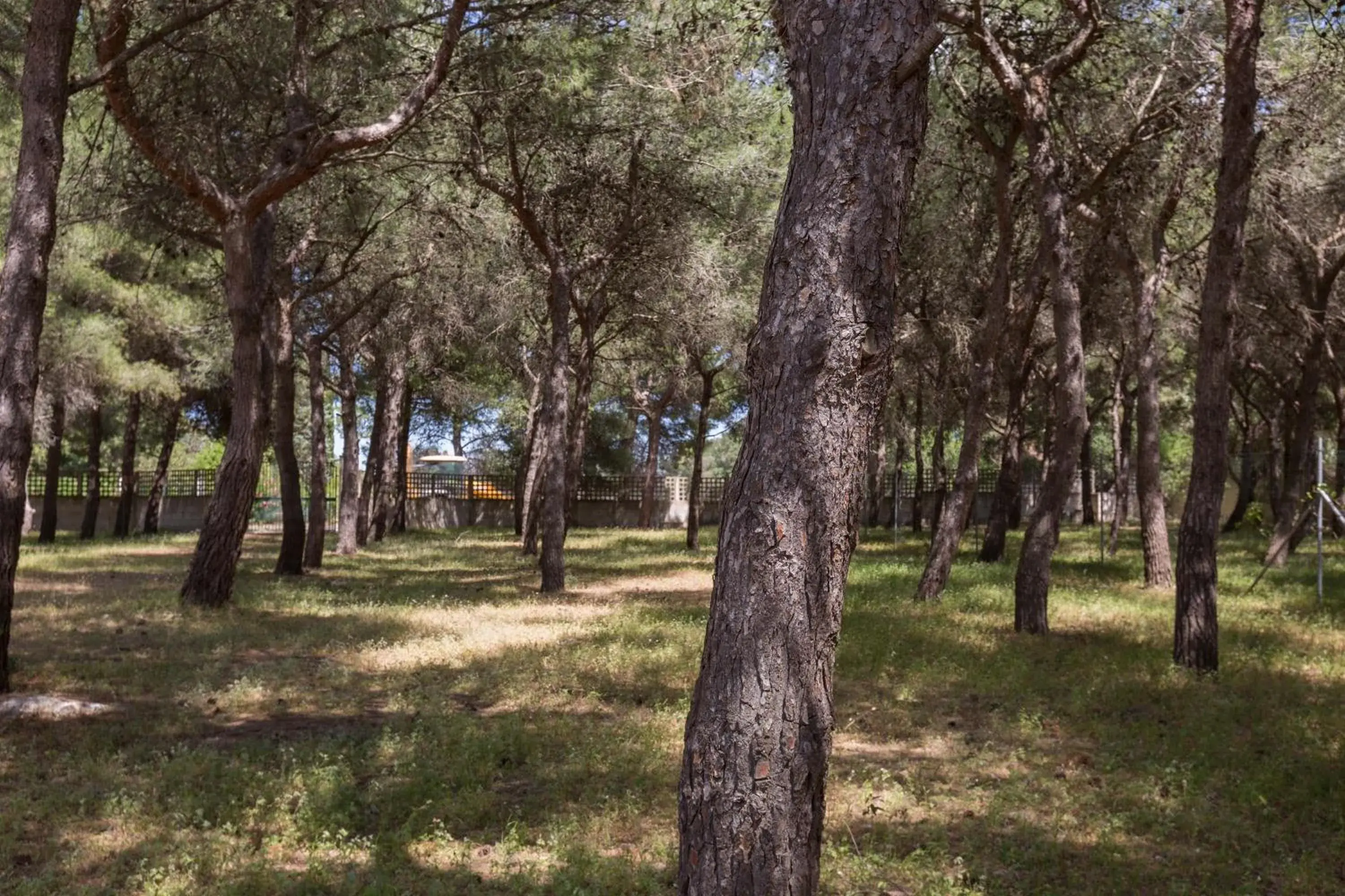 Villetta La Pineta by BarbarHouse Villetta La Pineta by BarbarHouse