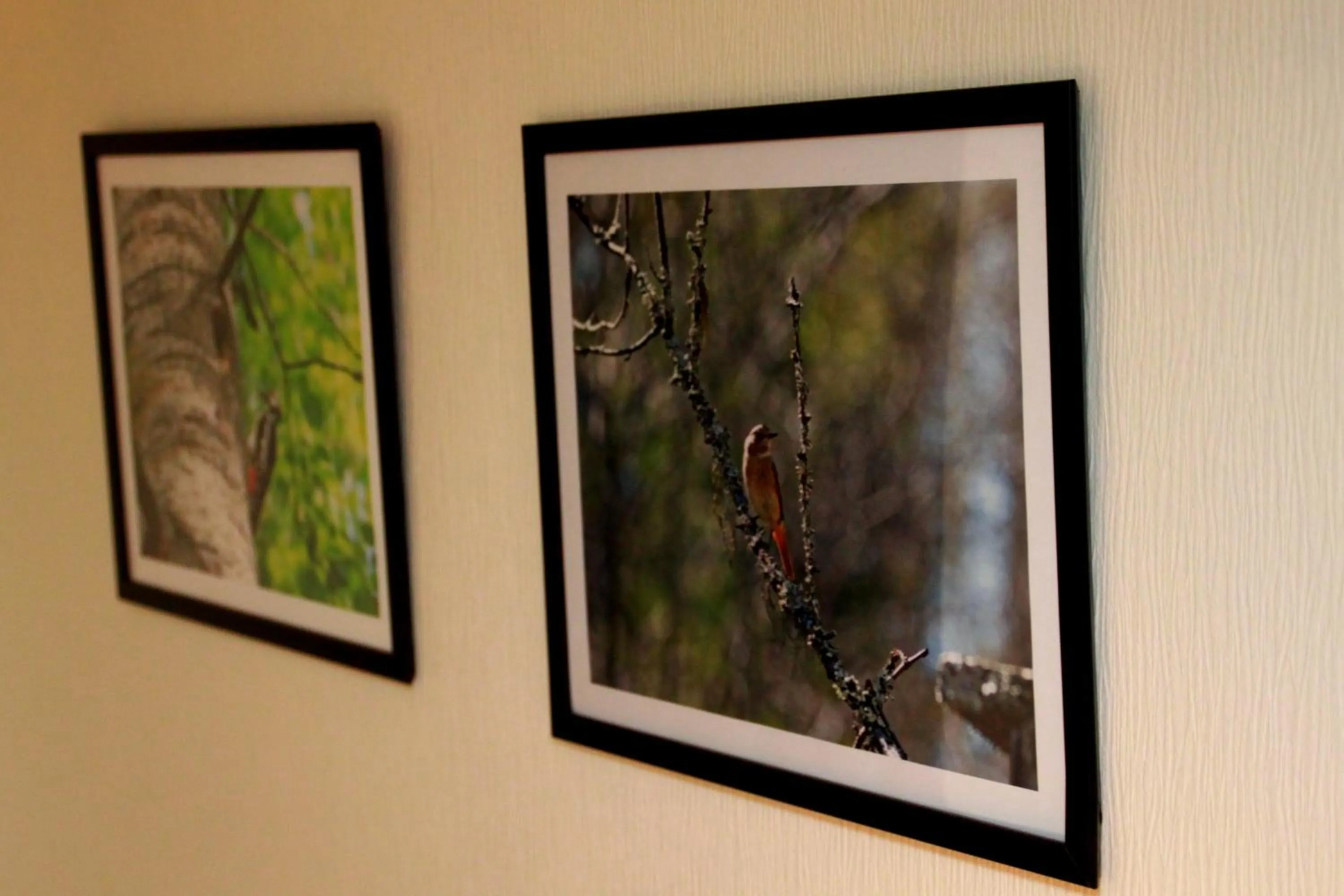 Decorative detail in Hotelli Salpa