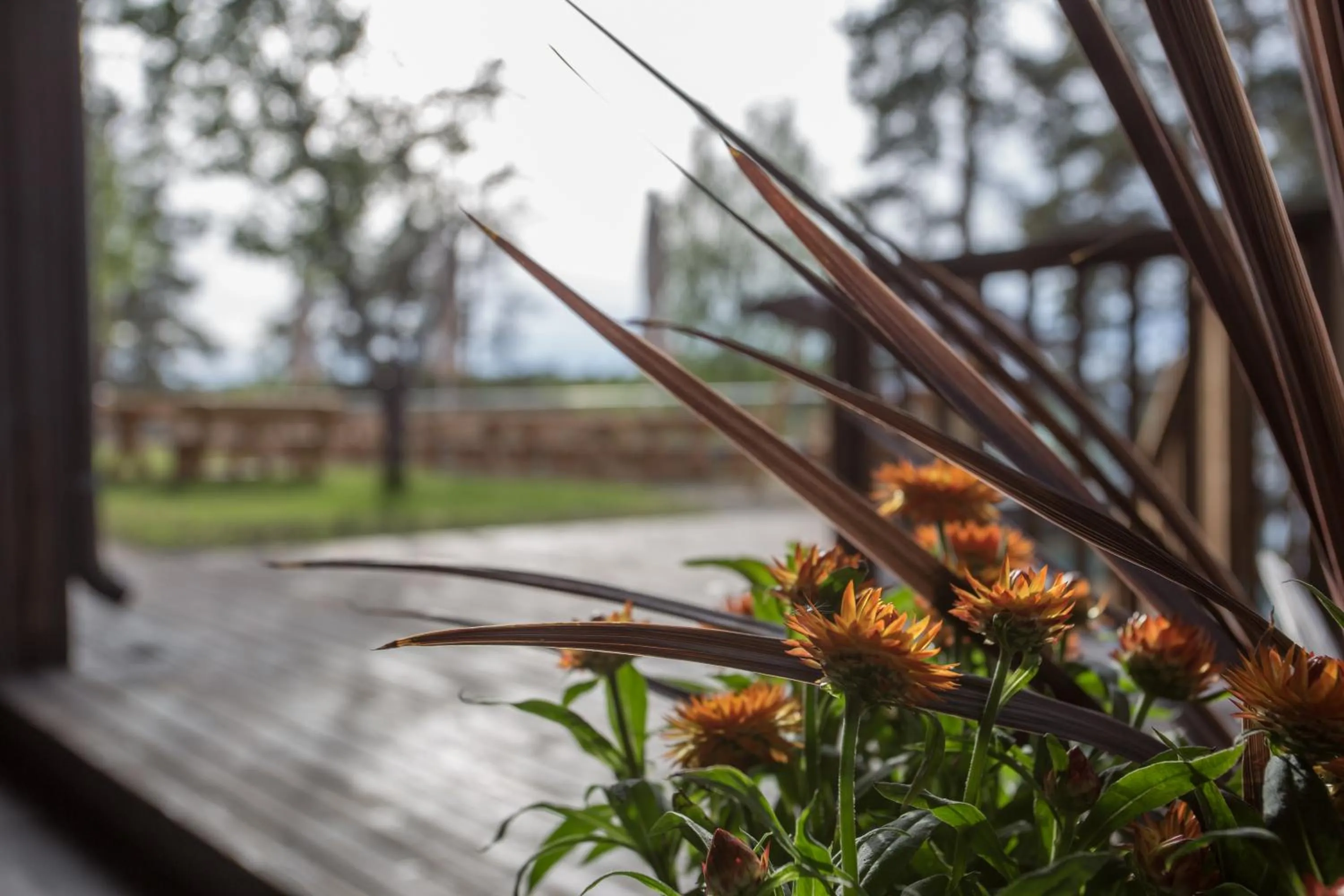 Spring in Hotelli Salpa