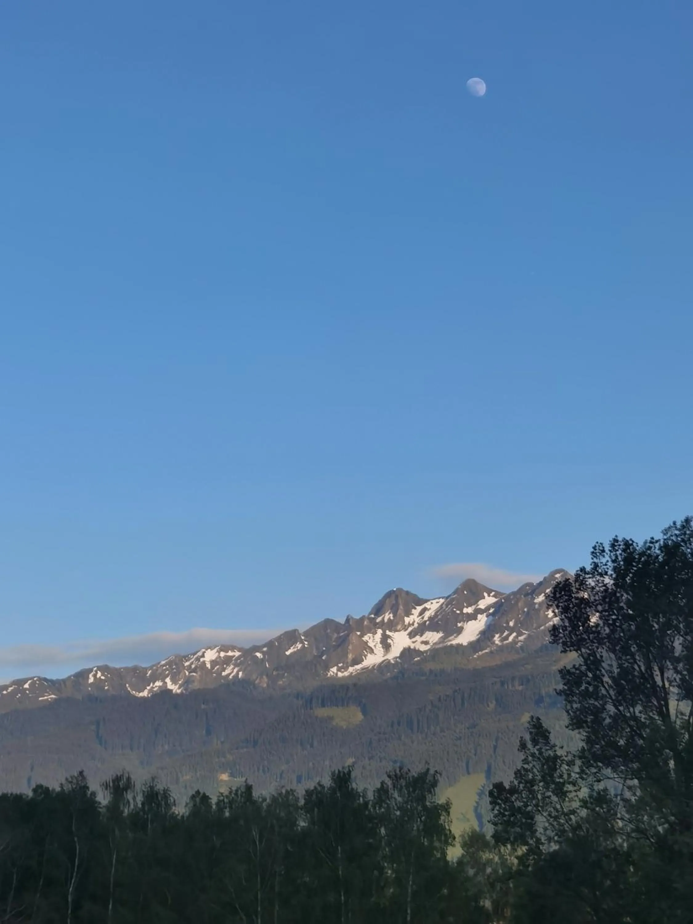 Natural landscape in Hotel Landhaus Zell am See