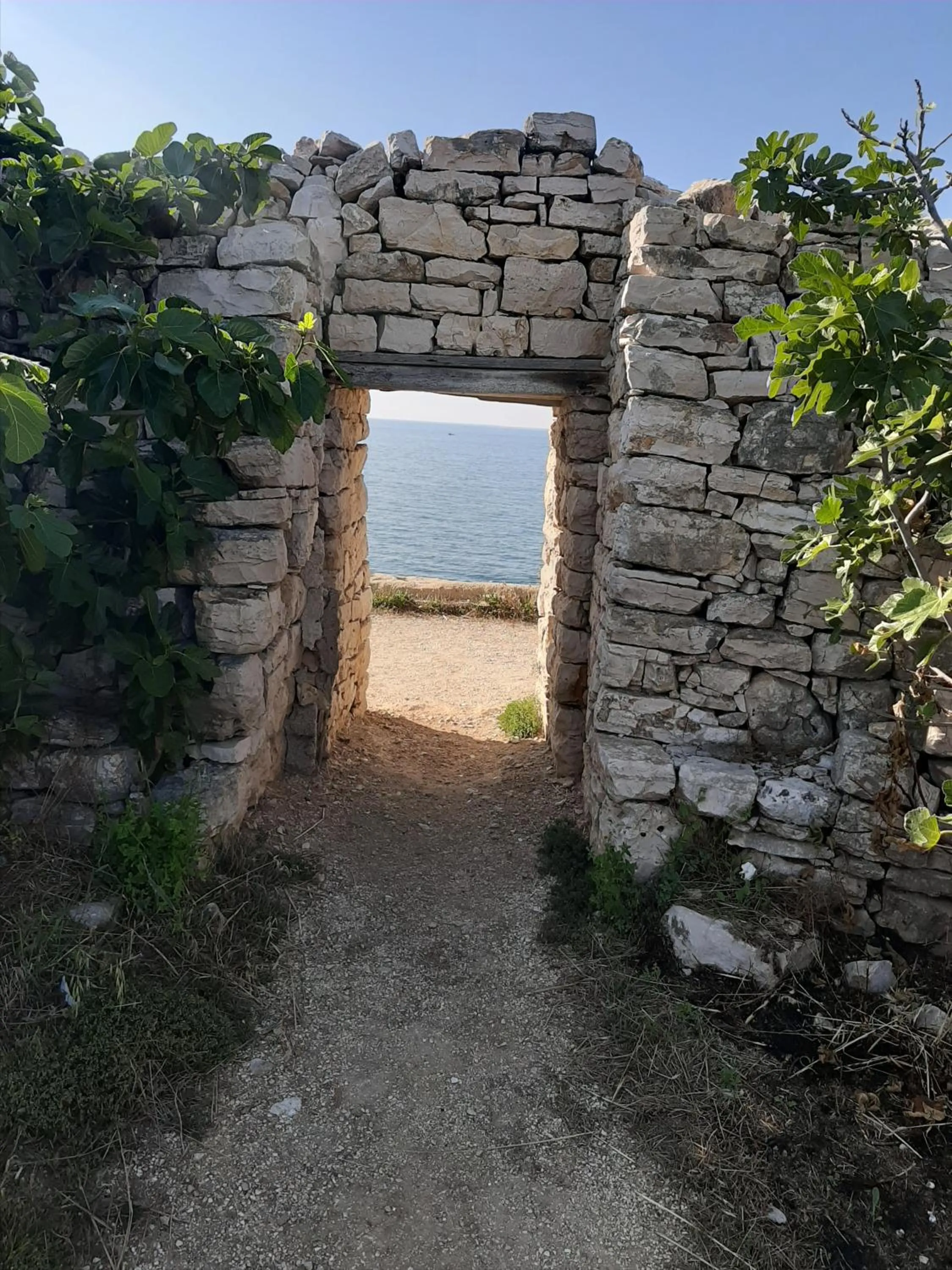 Agorà Bisceglie