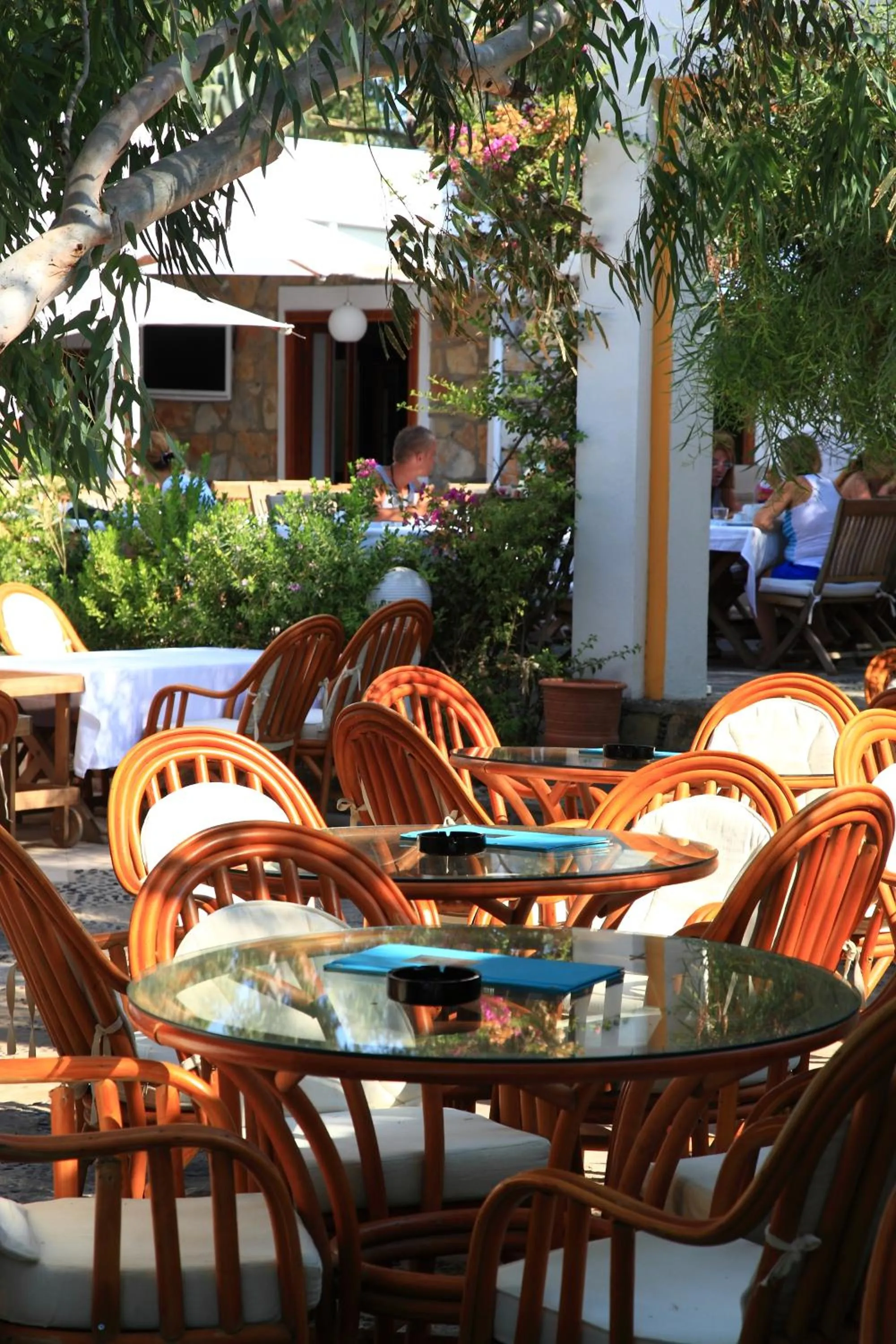 Lounge or bar in Okaliptus Otel