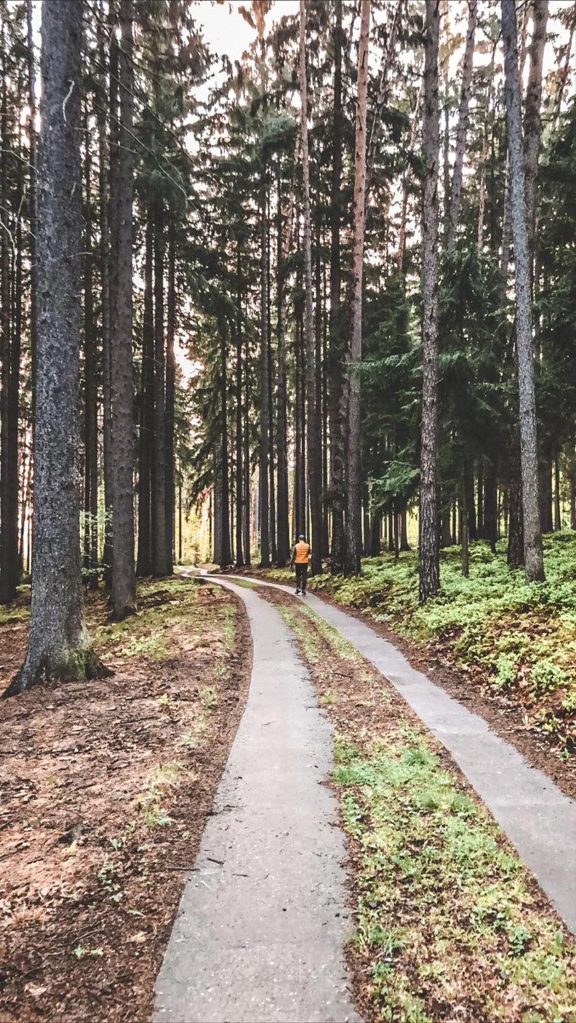 Spring in La Park Aparthotel