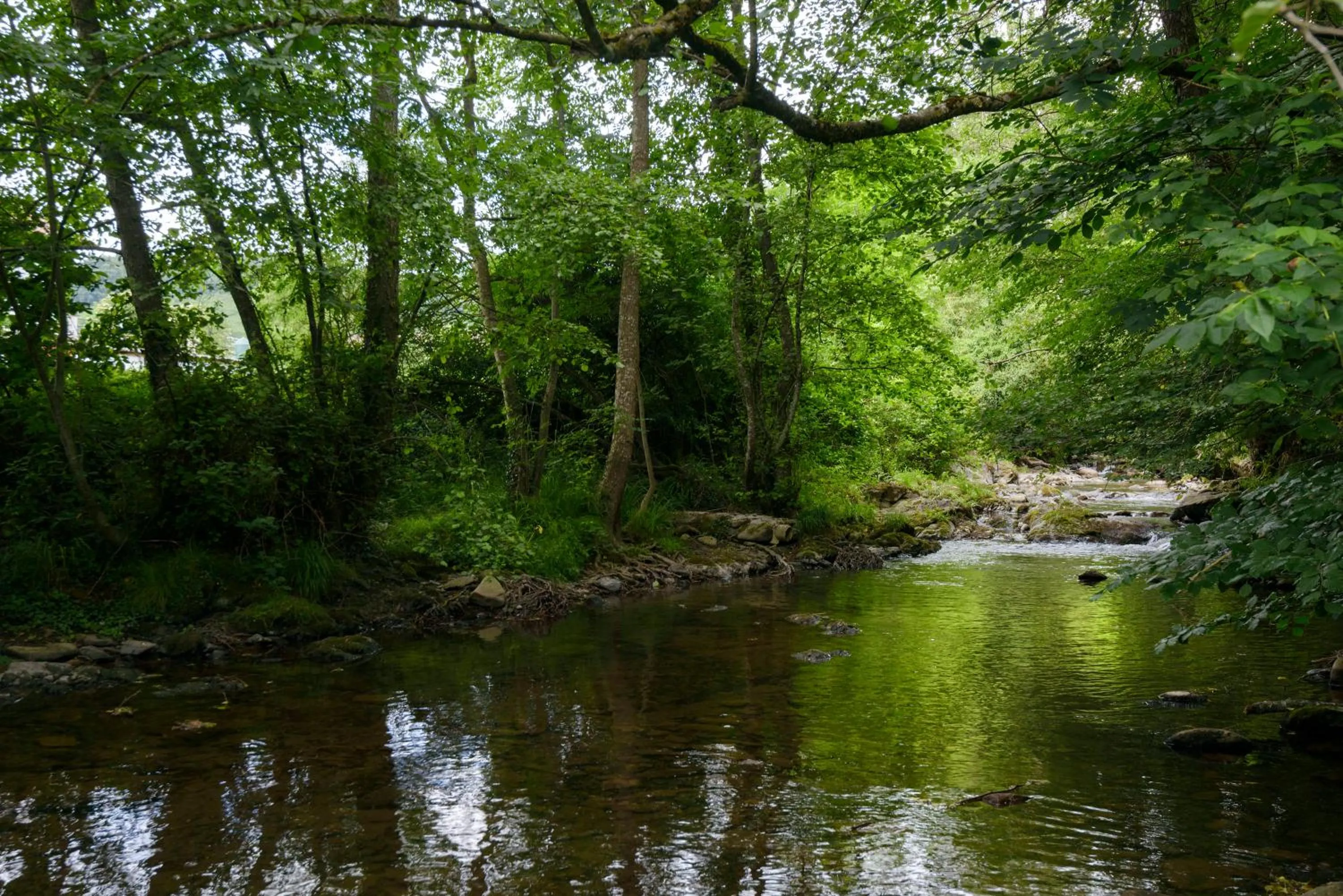 Garden in Hotel Rural Iribarnia