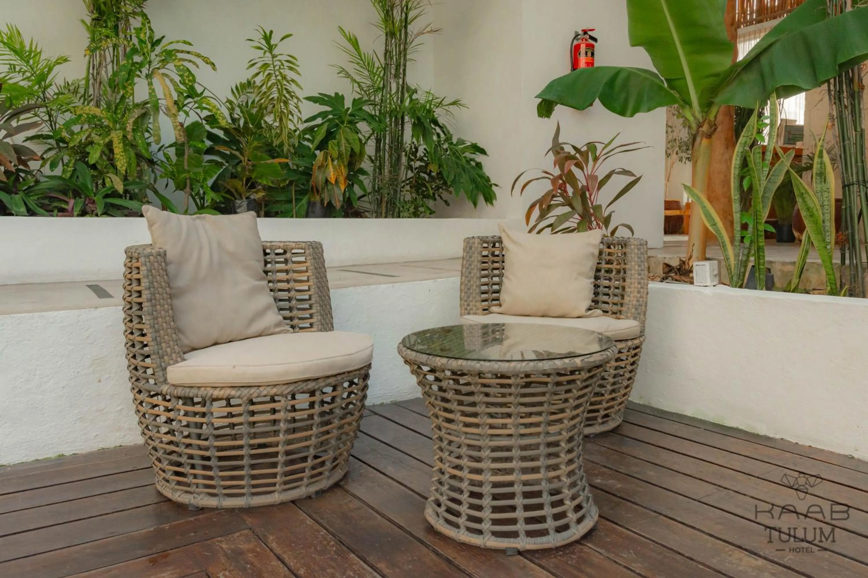 Lobby or reception in Kaab Tulum