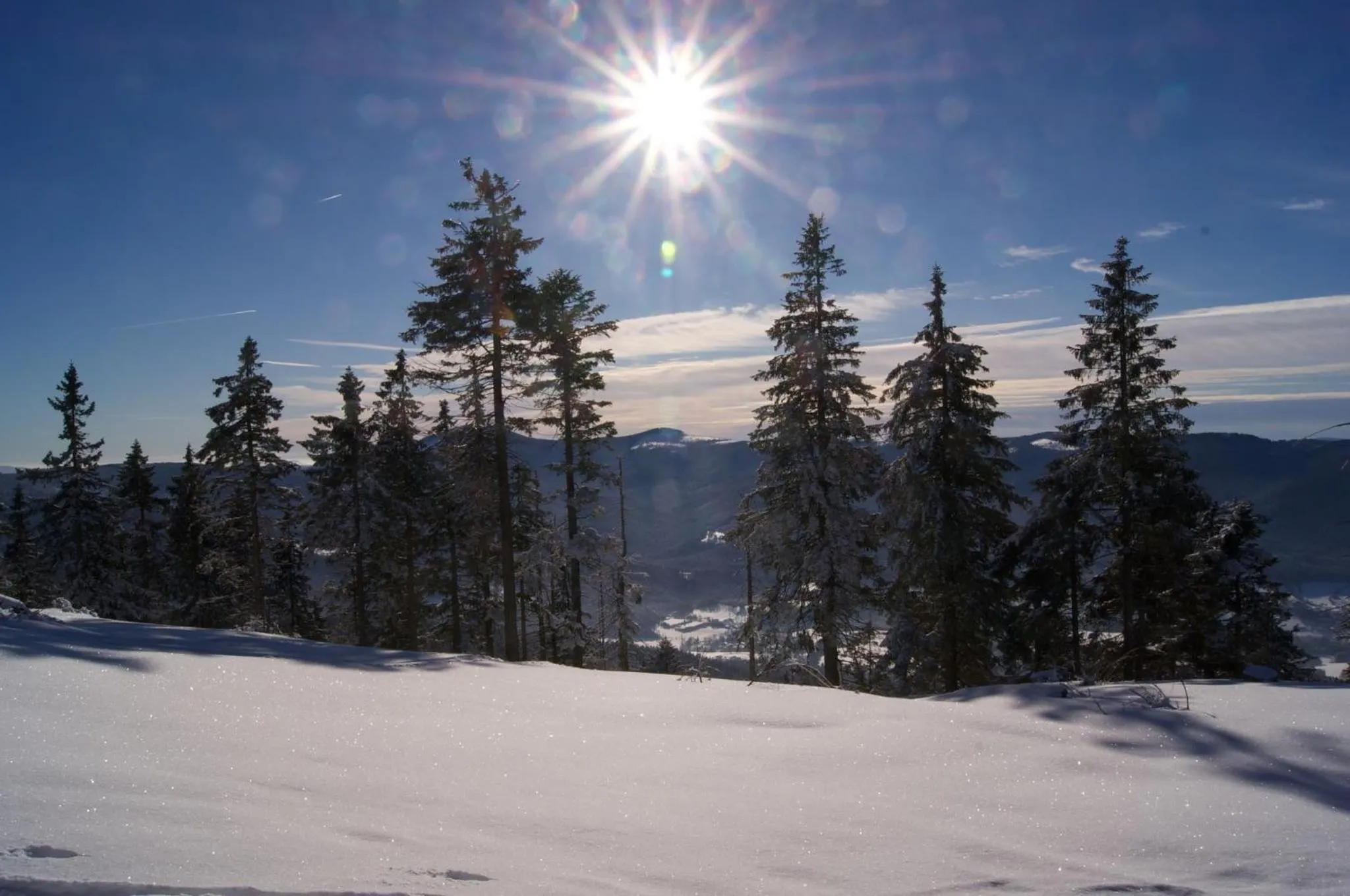 Natural landscape in Pension Silberbauer