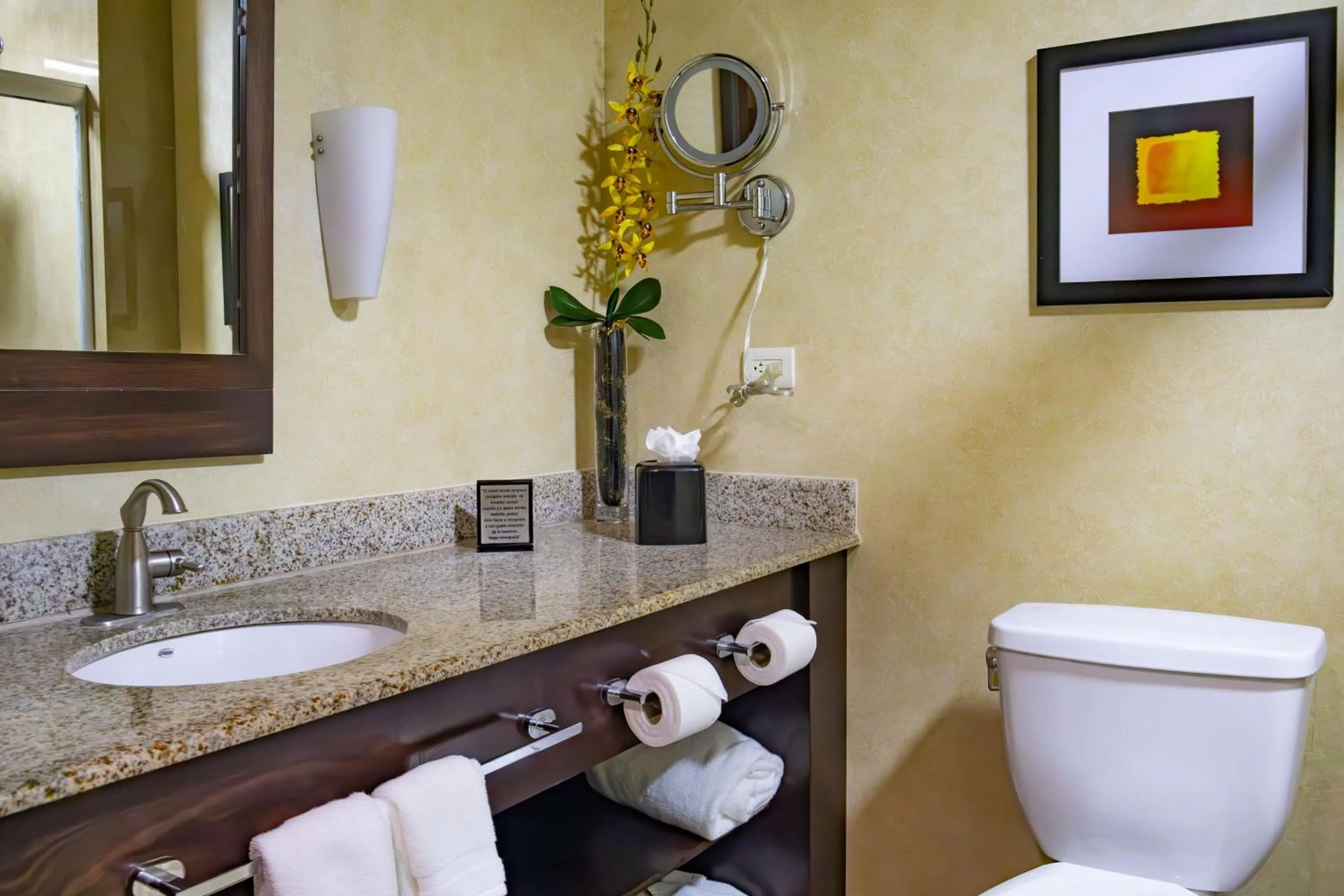 Bathroom in Best Western PREMIER Monterrey Aeropuerto