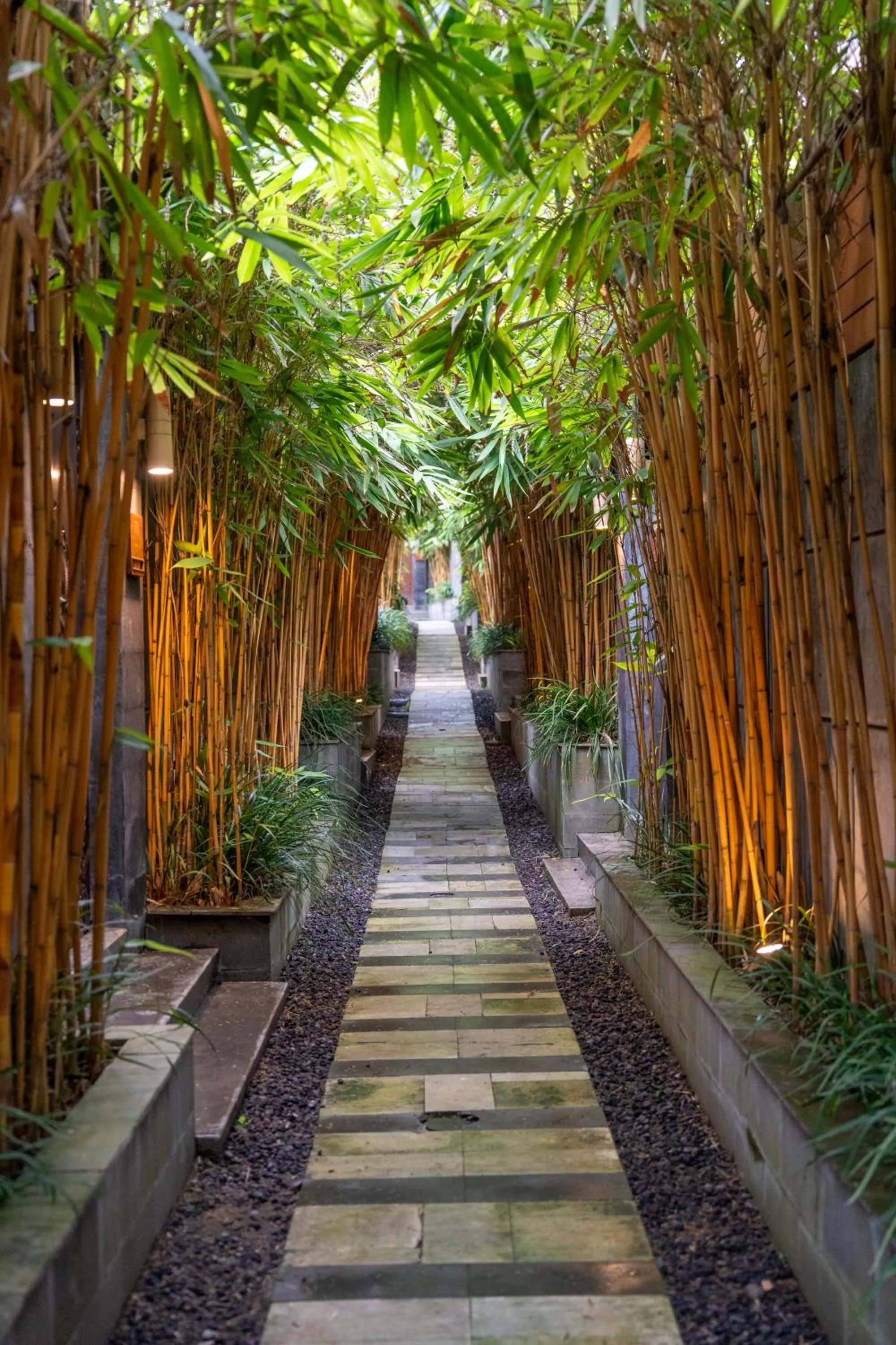 Garden in La Paradis Villa