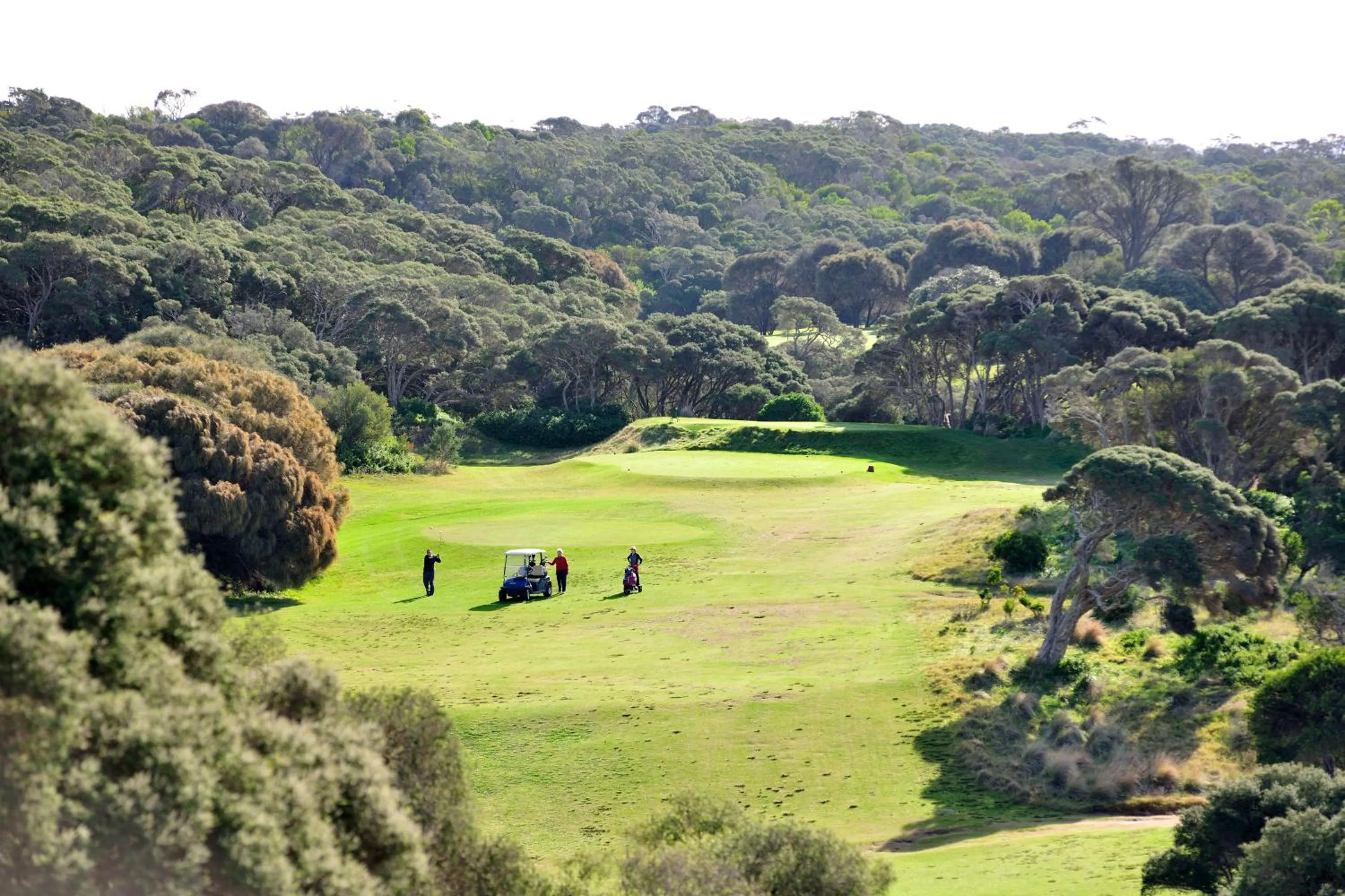 Golfcourse in Mercure Portsea & Portsea Golf Club