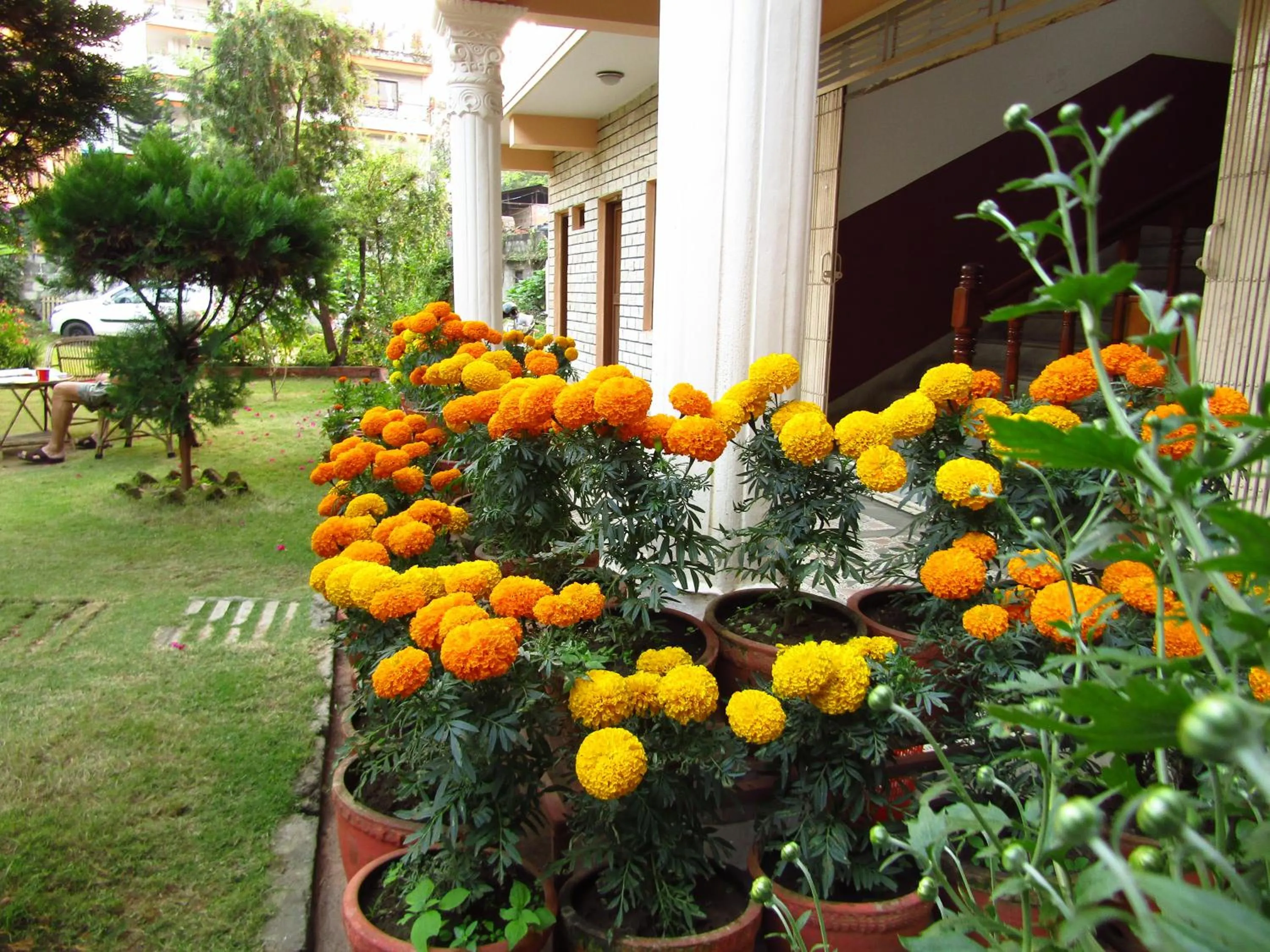Hotel Lotus Inn