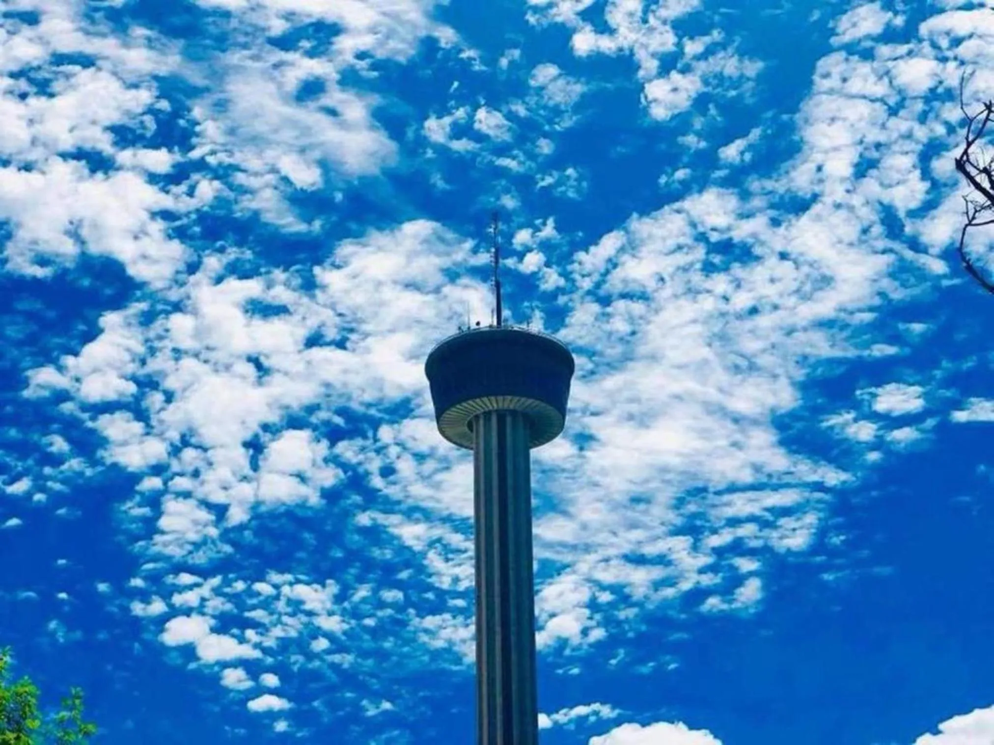 City view in Florida St Nice Remodeled 3BR/2BA Near Downtown