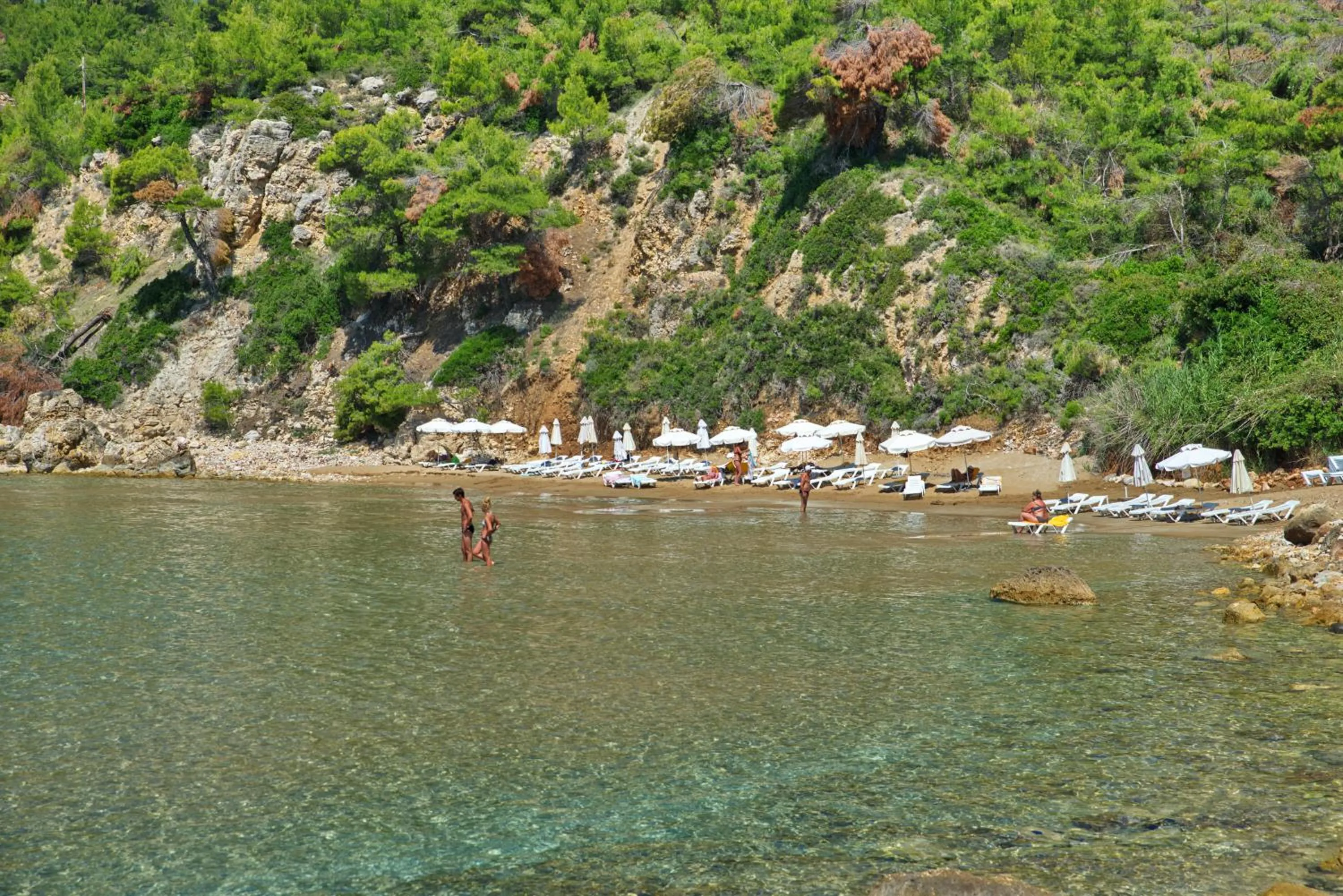 Beach in Alonissos Beach Bungalows And Suites Hotel
