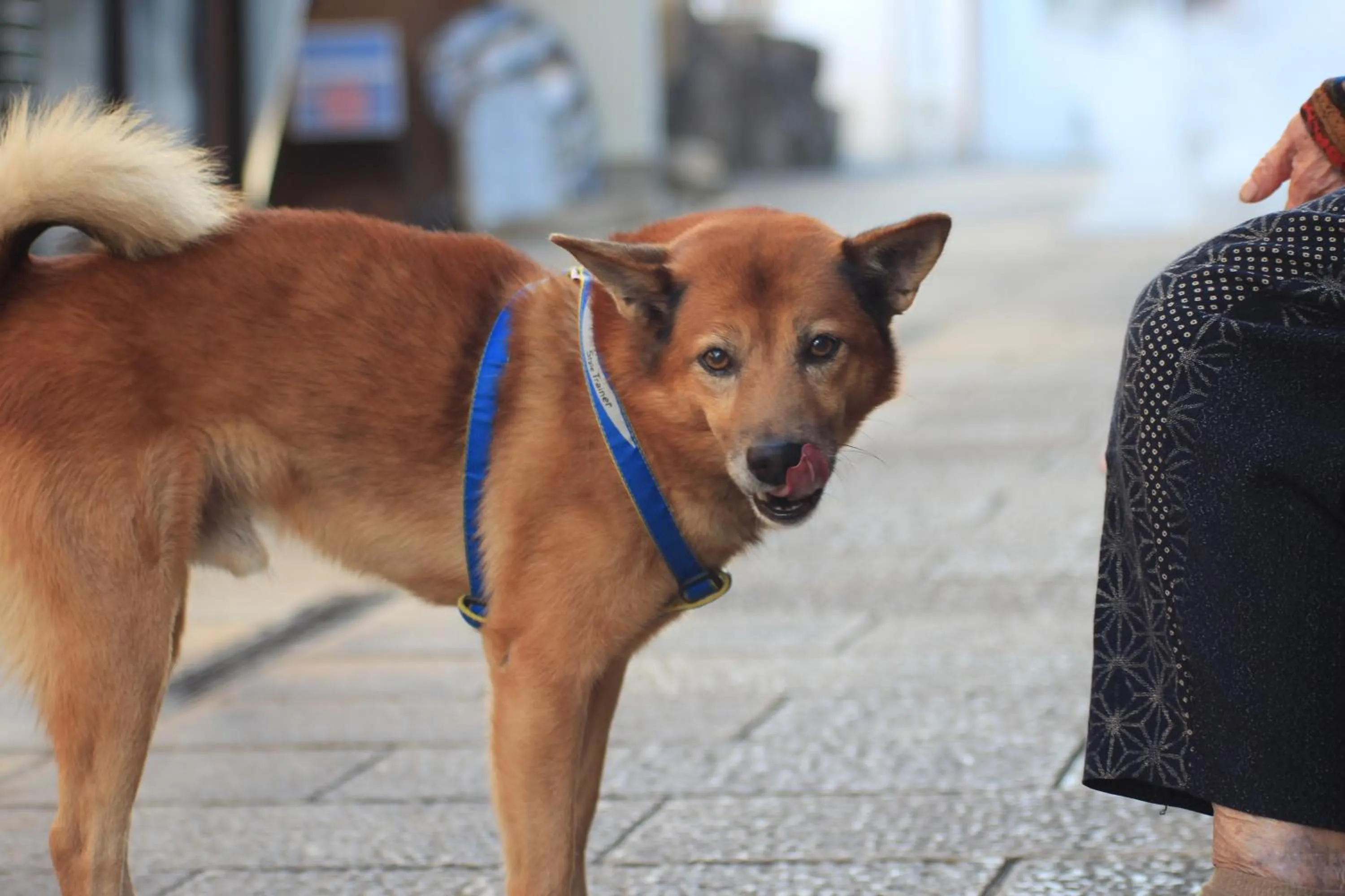 Day in Beppu Kannawa Onsen HIROMIYA