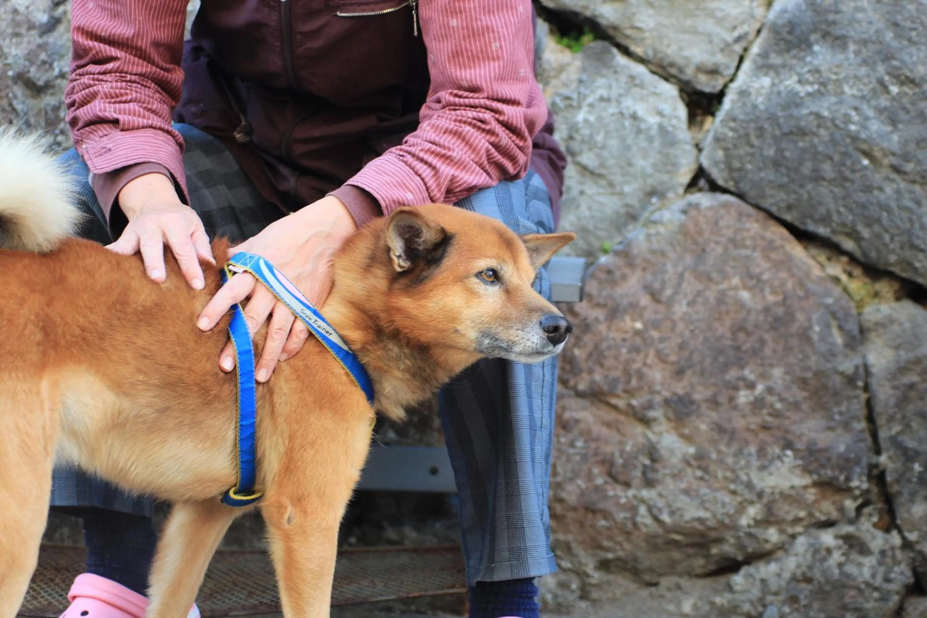 Day in Beppu Kannawa Onsen HIROMIYA
