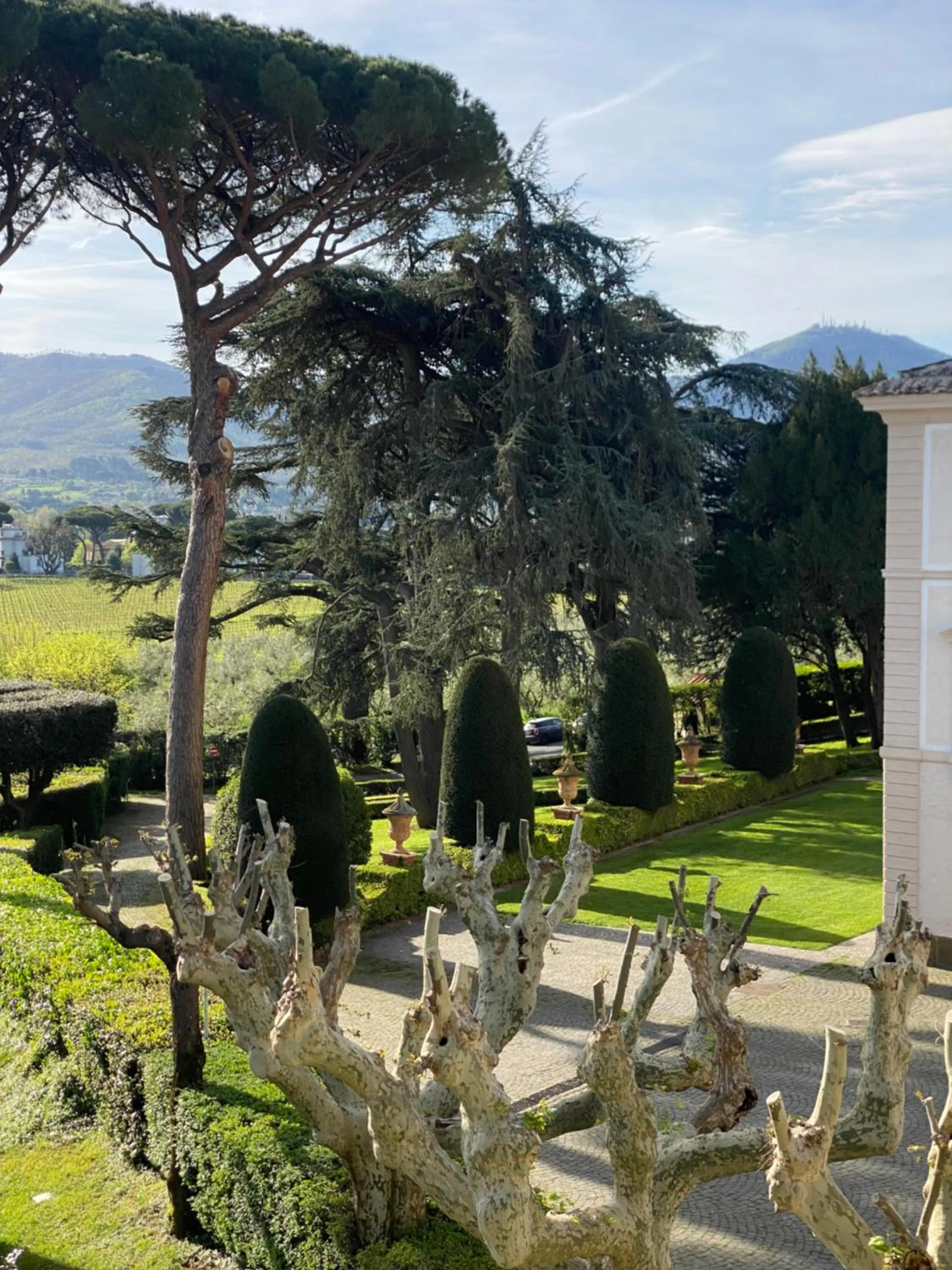 Villa Cavalletti Appartamenti