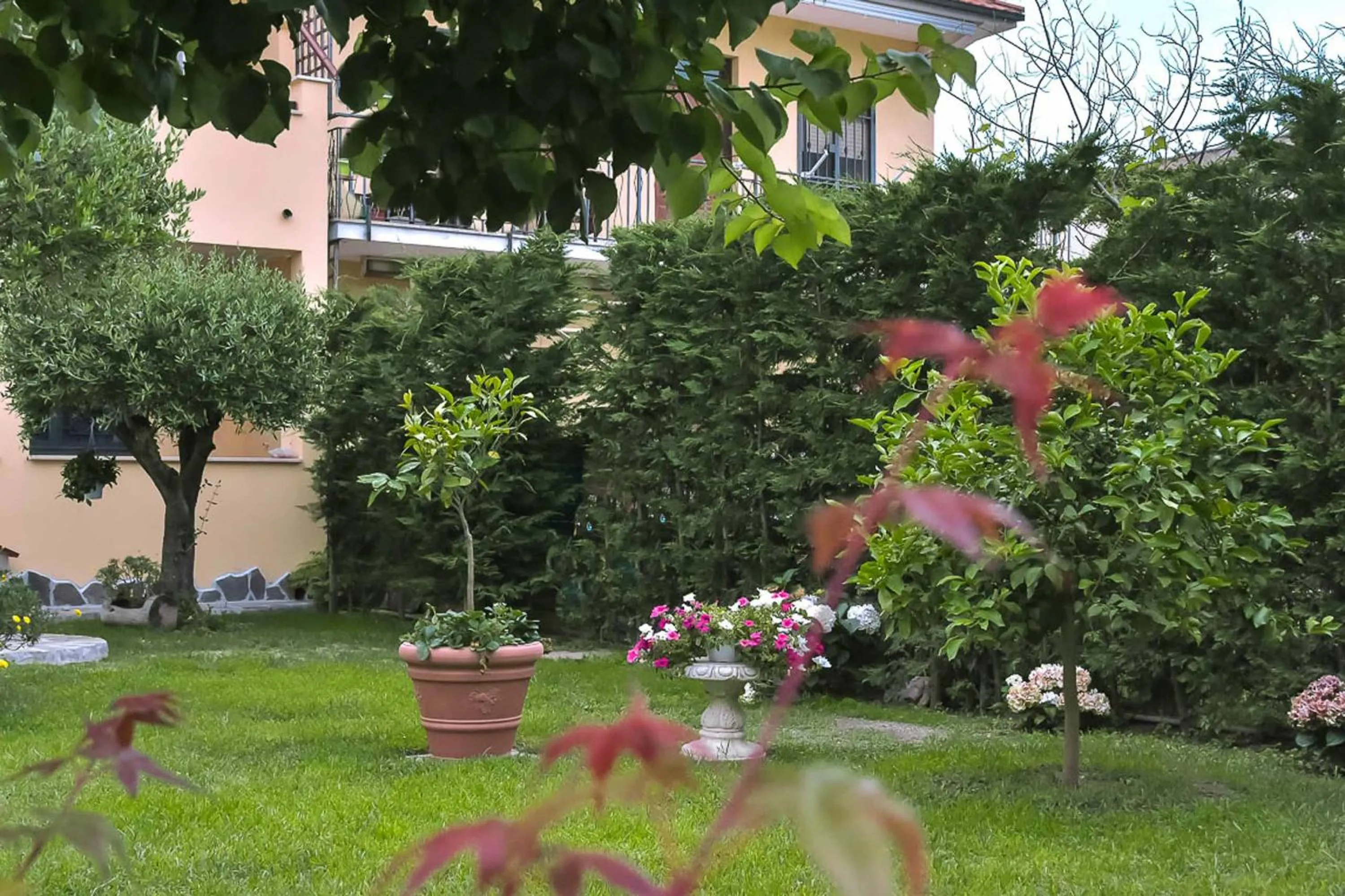 Garden in A Casa di Titty