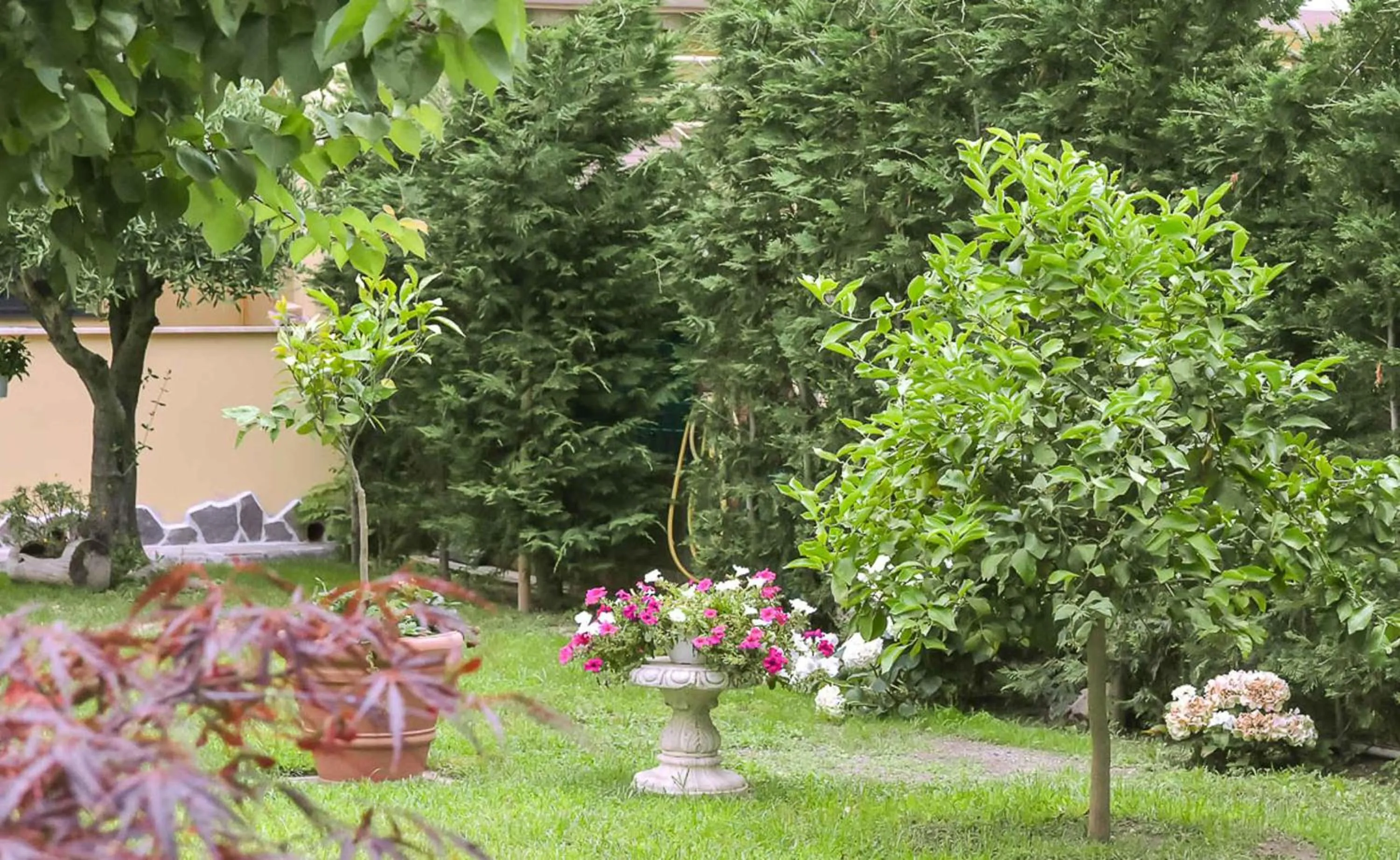 Garden in A Casa di Titty