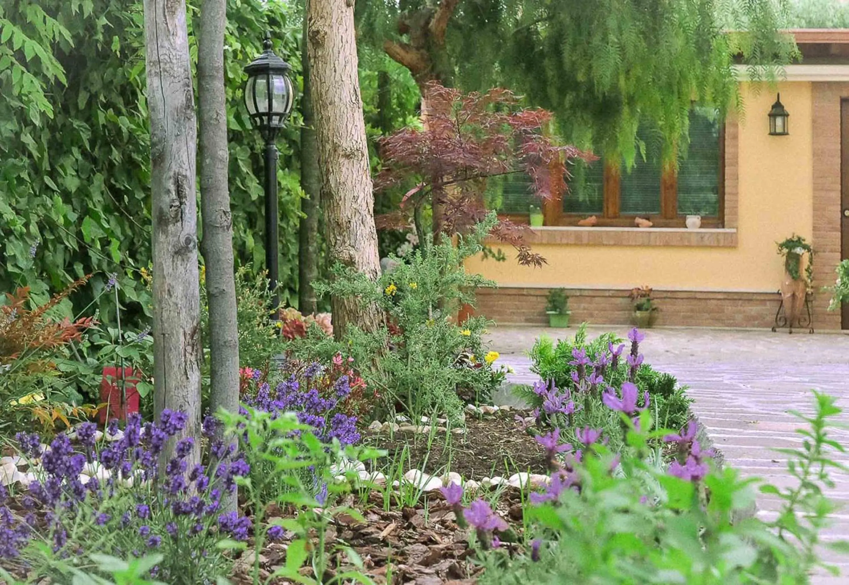 Garden in A Casa di Titty
