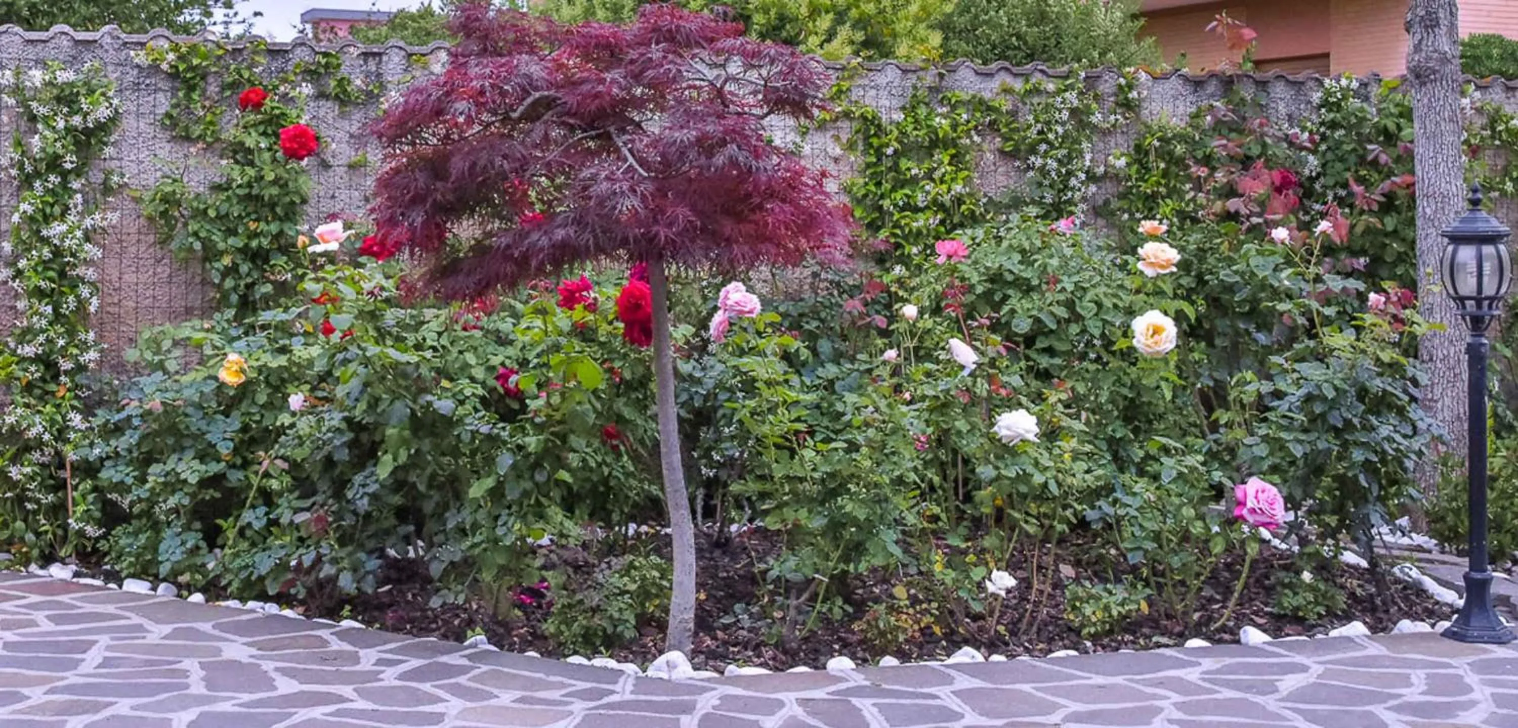 Garden in A Casa di Titty