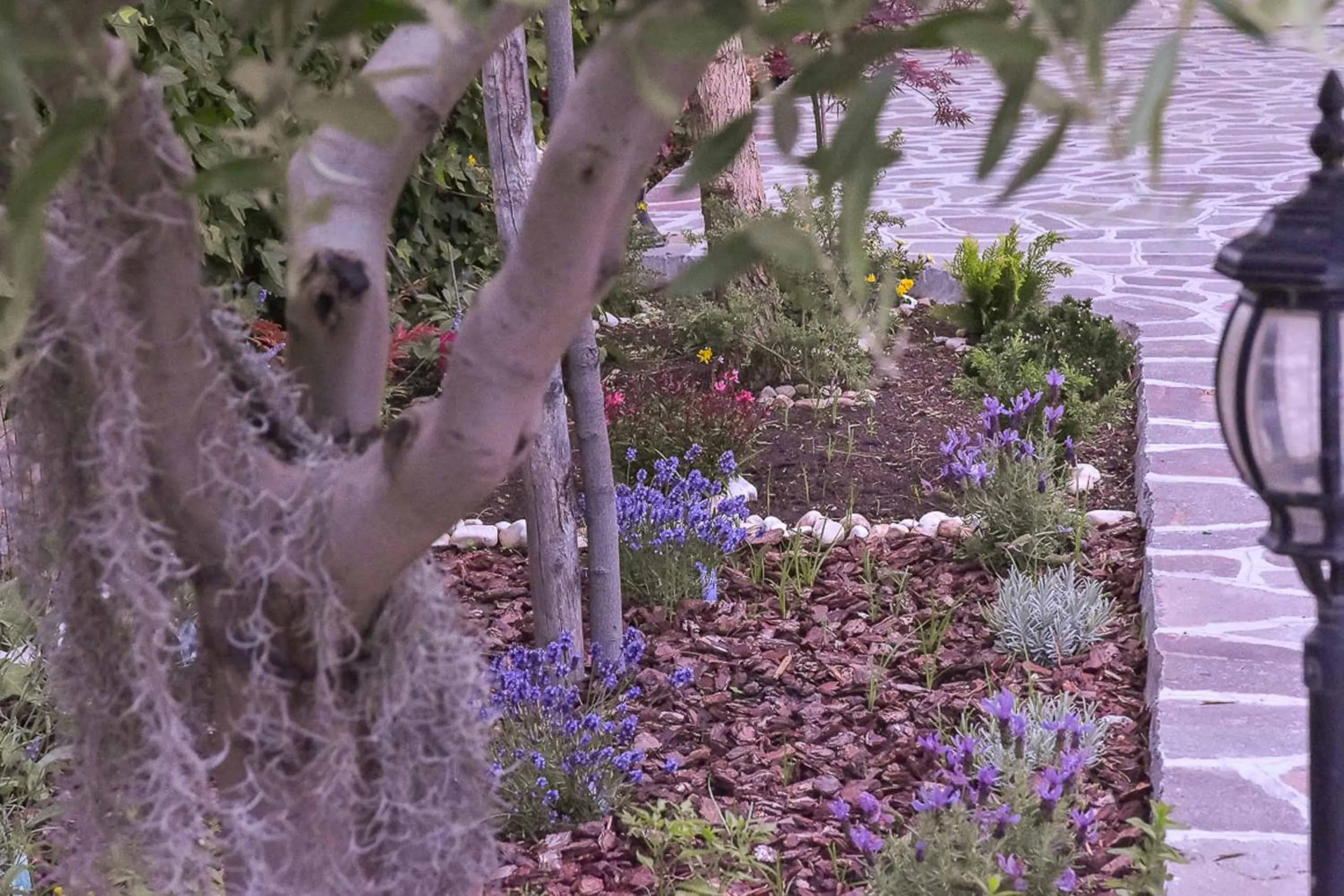 Garden in A Casa di Titty