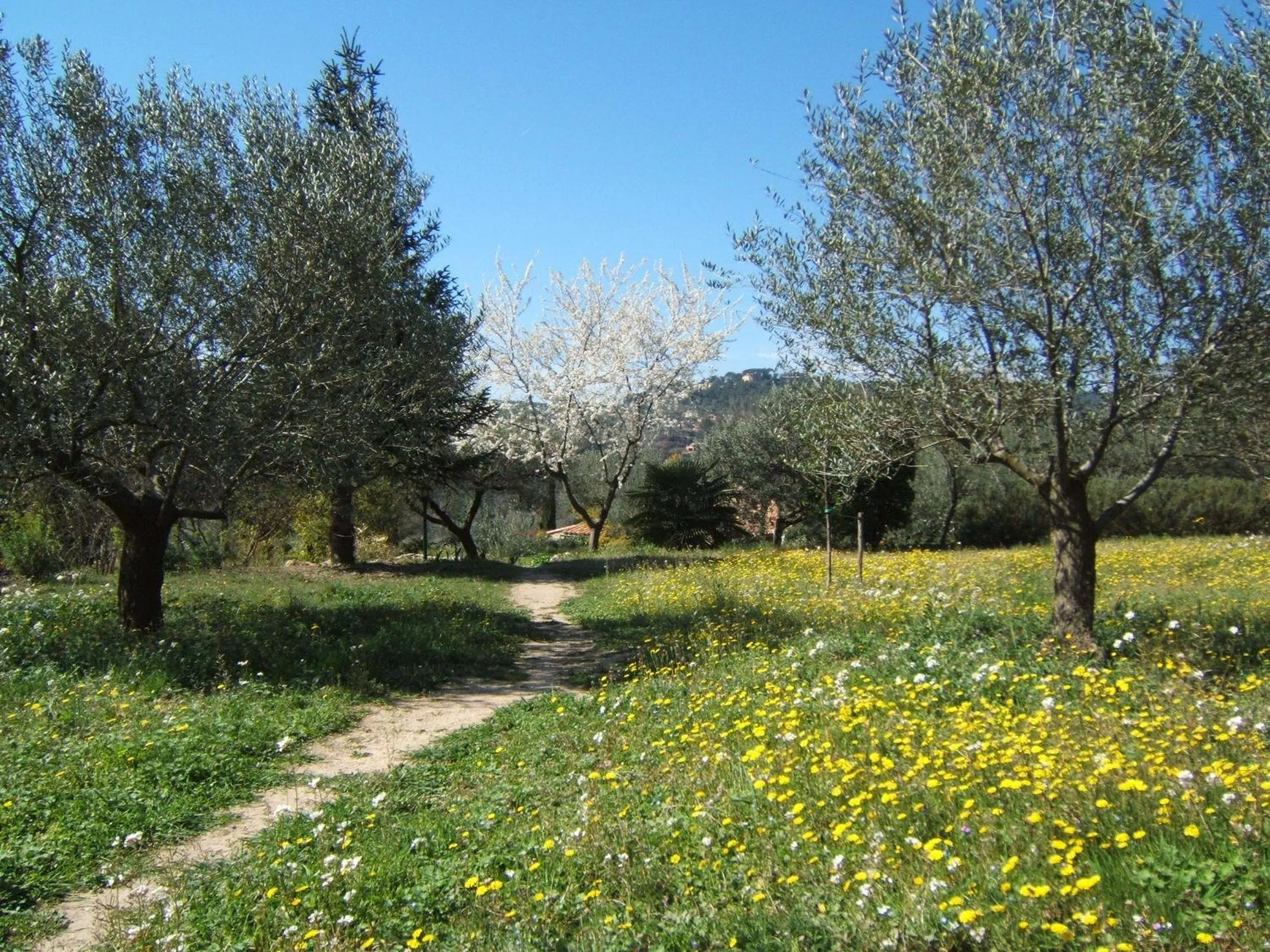 Garden view in La Radassière