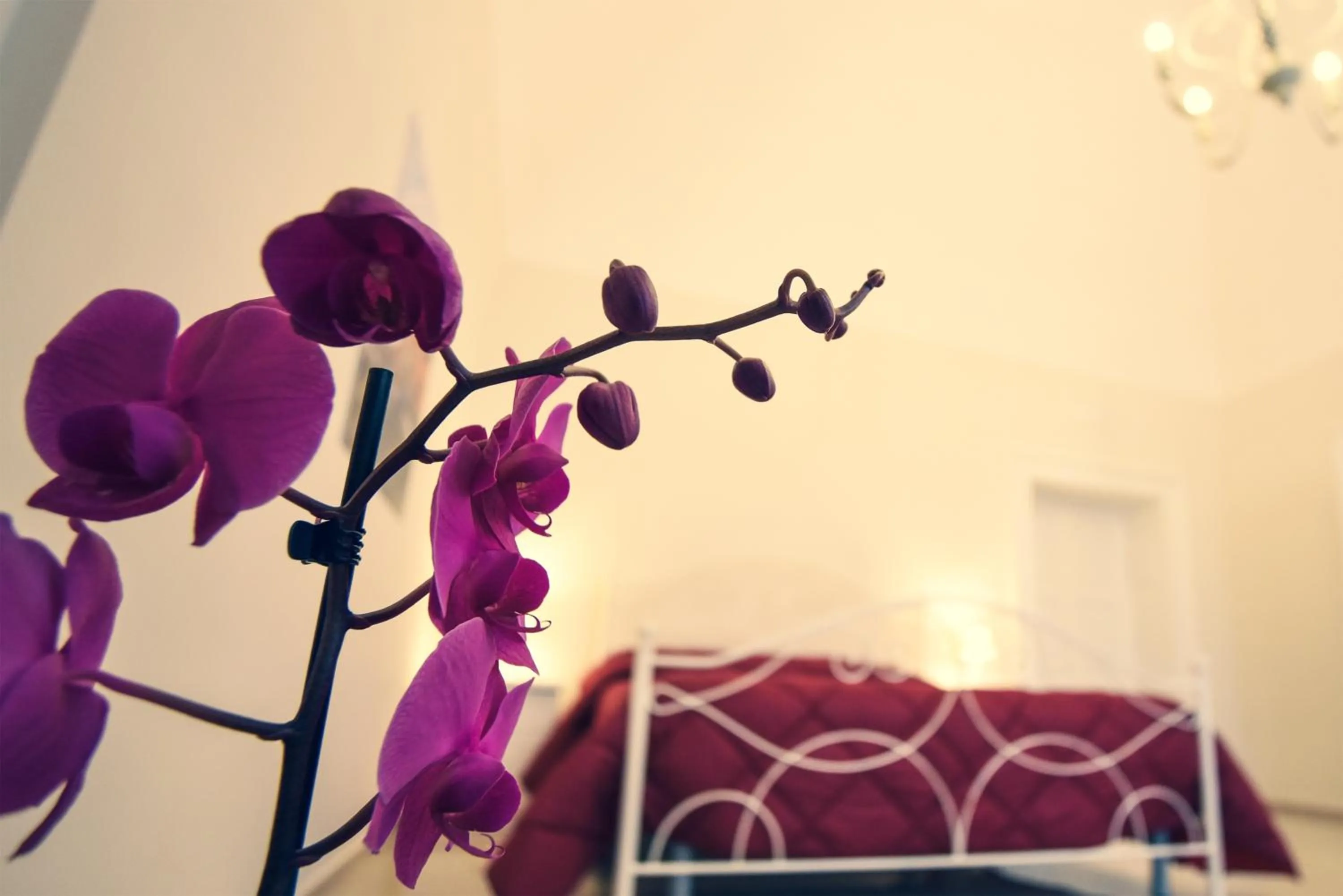 Bedroom, Bed in KAPSOTT B&B